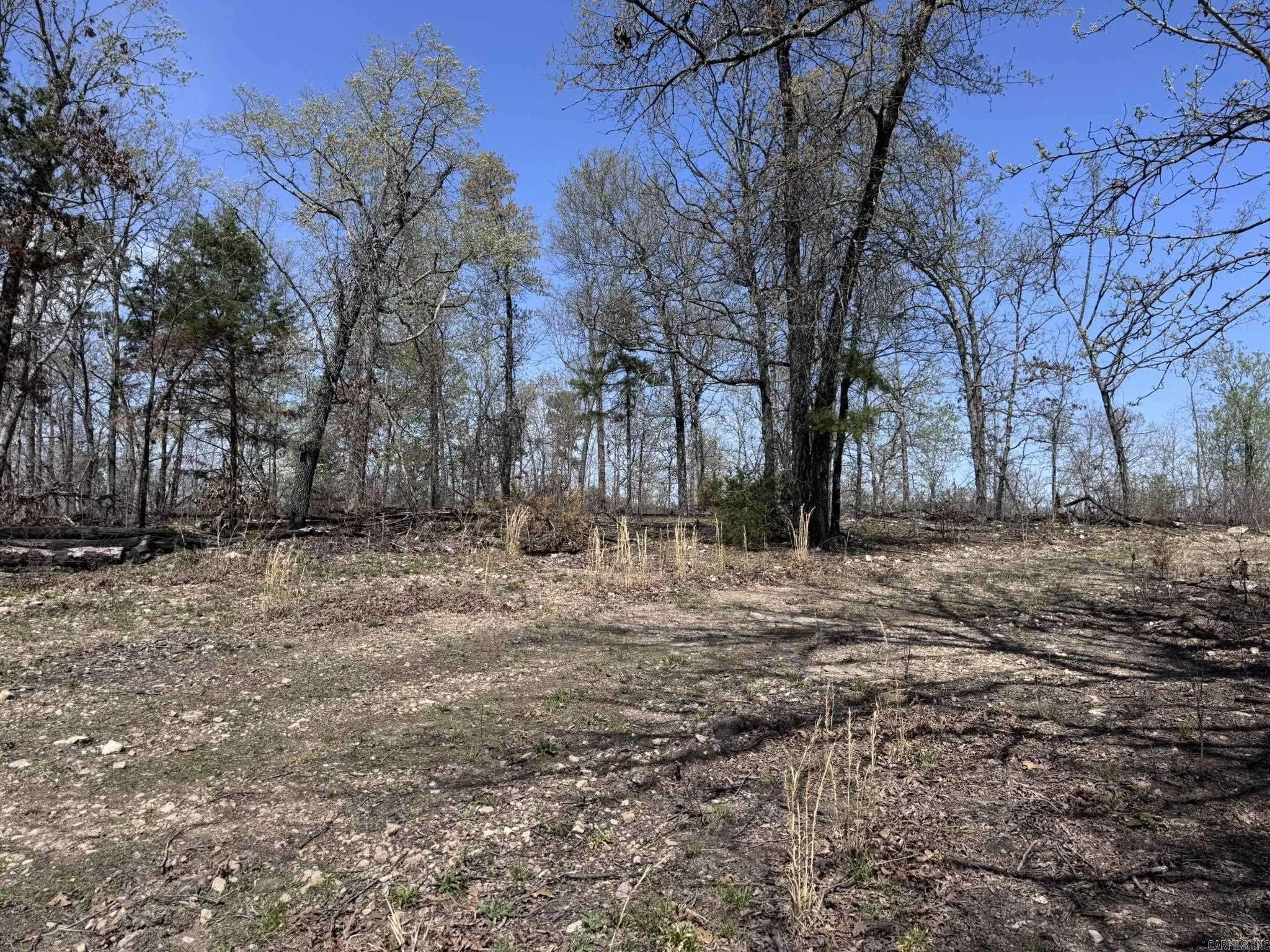 Wideman, AR 72585,155A Campground Road