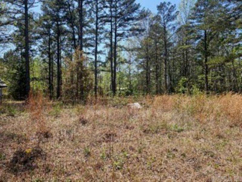 Higden, AR 72067,45 Black Lane