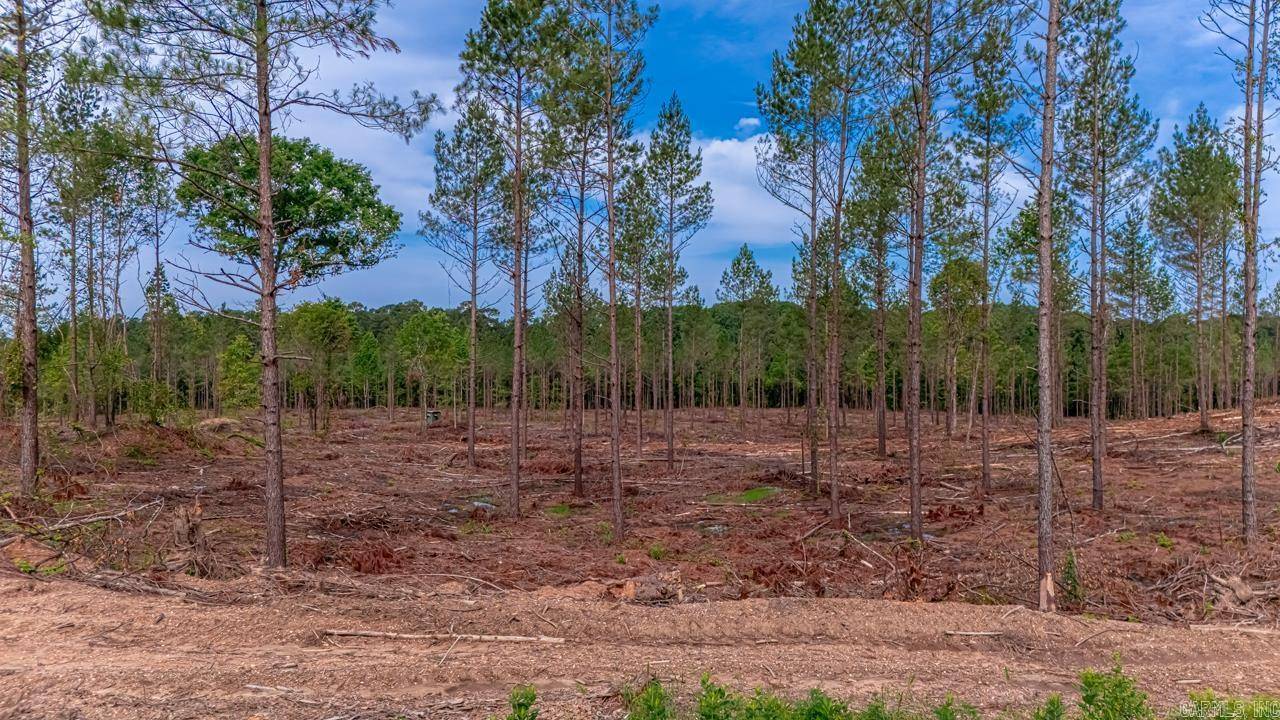 Hensley, AR 72065,LOT #3 Grant 55