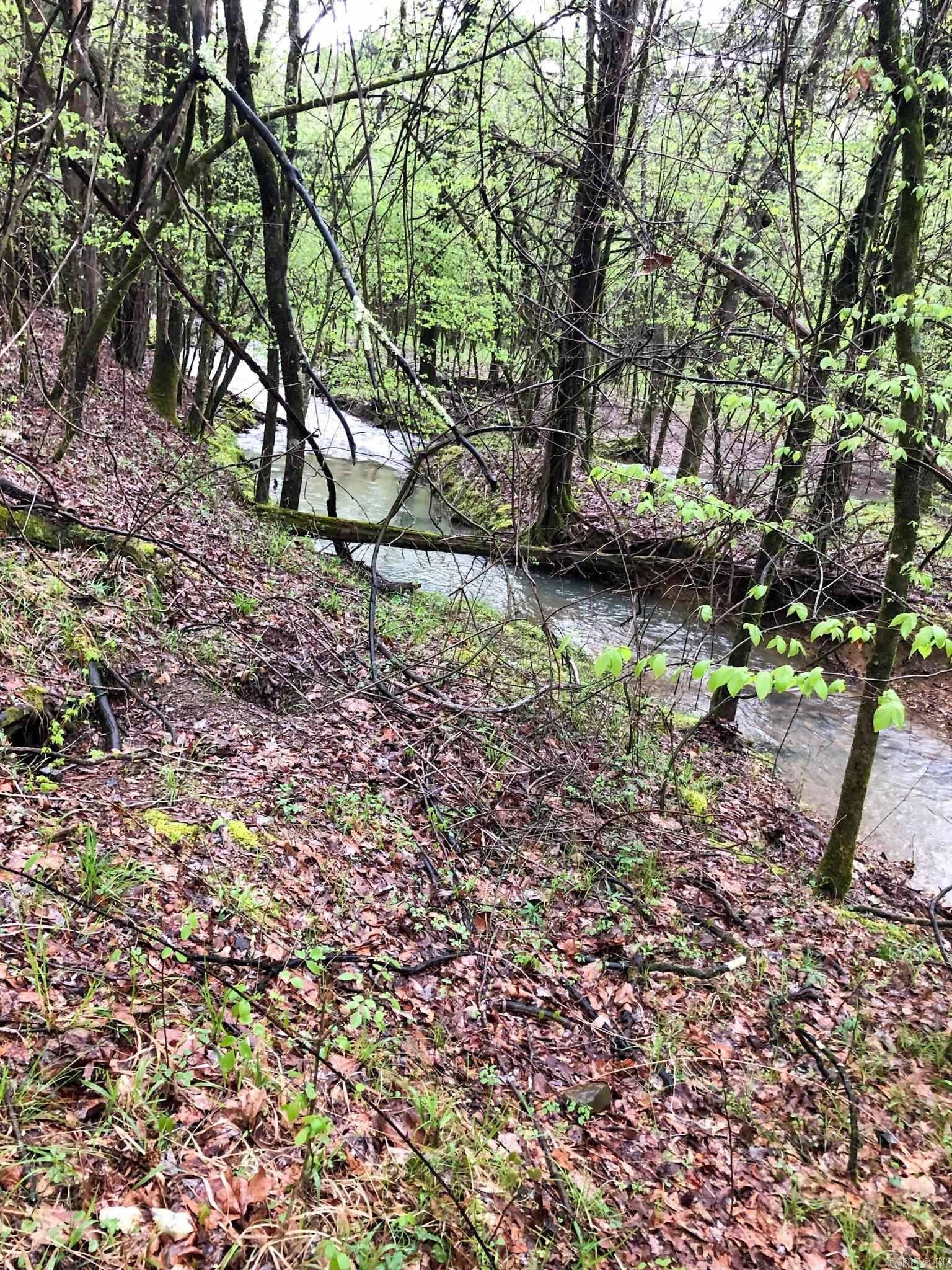 Mount Ida, AR 71957,Address not disclosed