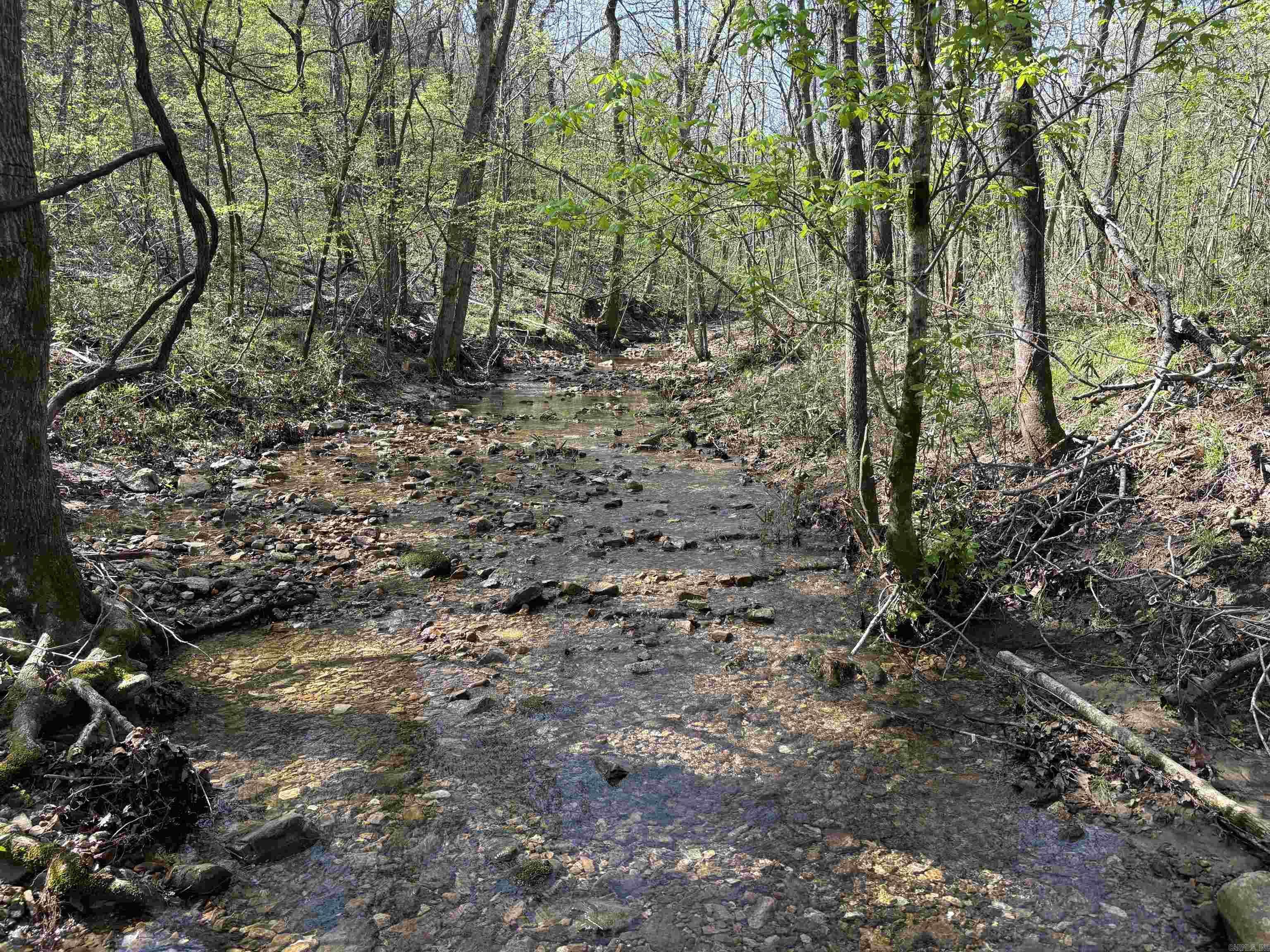 Calico Rock, AR 72519,Address not disclosed