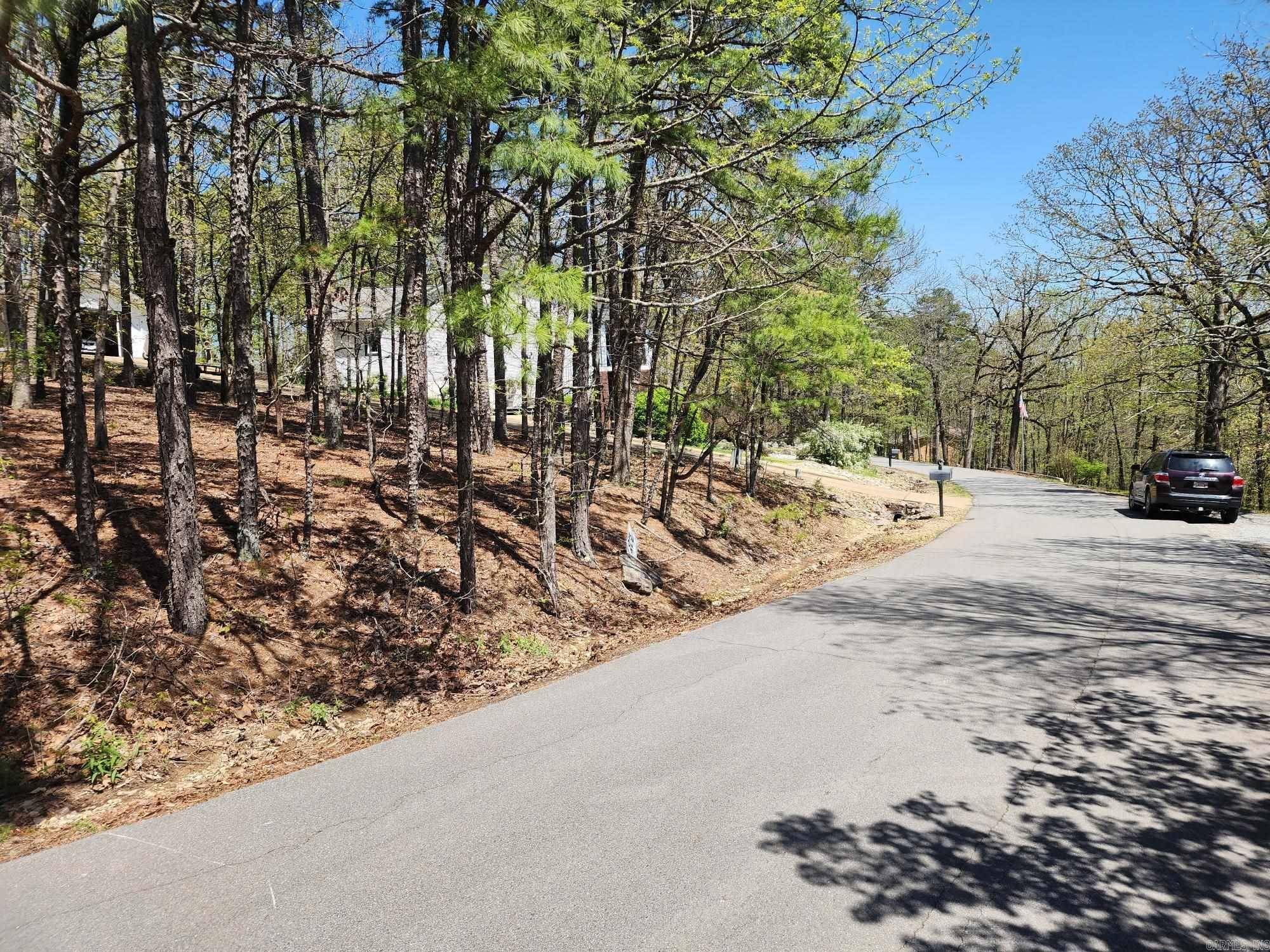 Hot Springs Village, AR 71909,42 Almazan Way