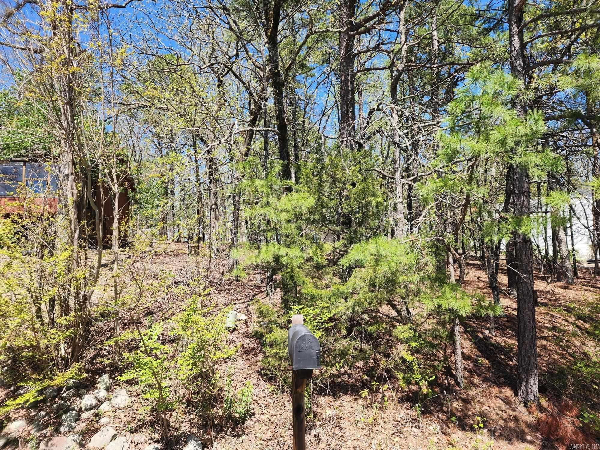 Hot Springs Village, AR 71909,42 Almazan Way