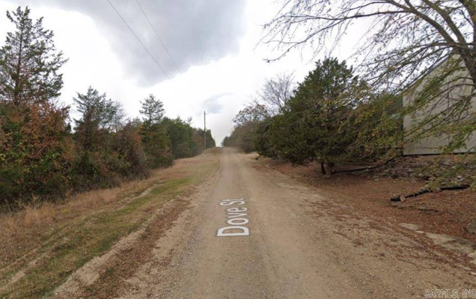 Lead Hill, AR 72644,Lot 19 Dove Street