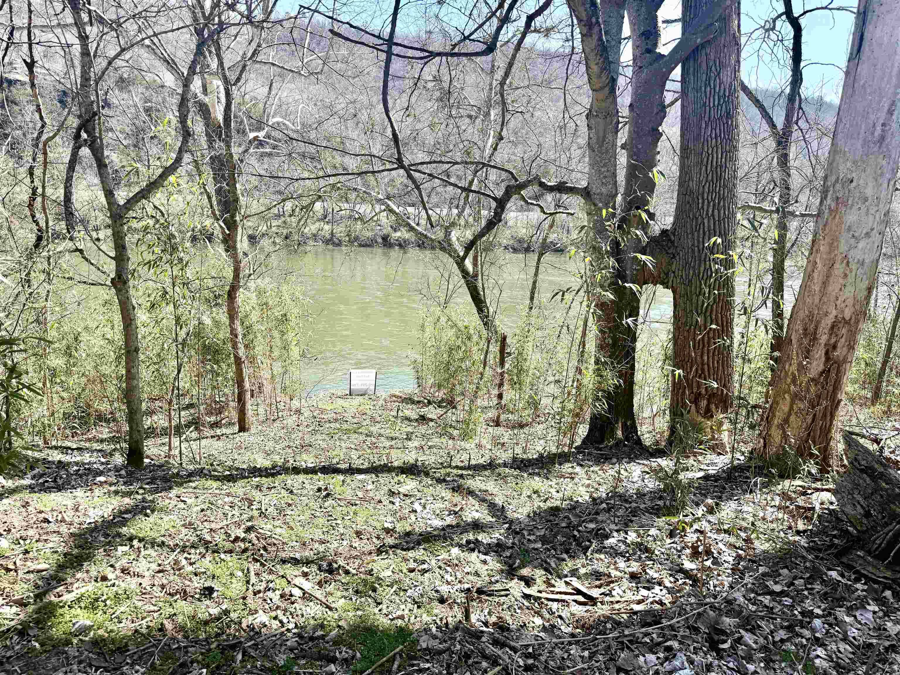 Mountain View, AR 72560,1 Allure Lane
