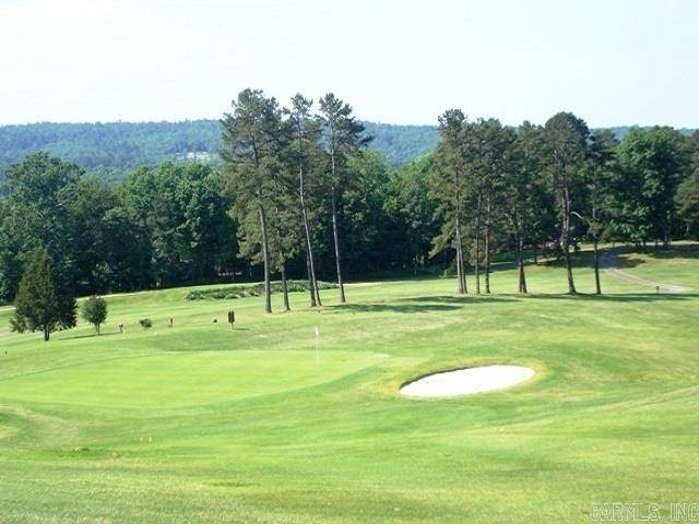 Hot Springs, AR 71913-0000,Lot 16 Blue Moon Terrace
