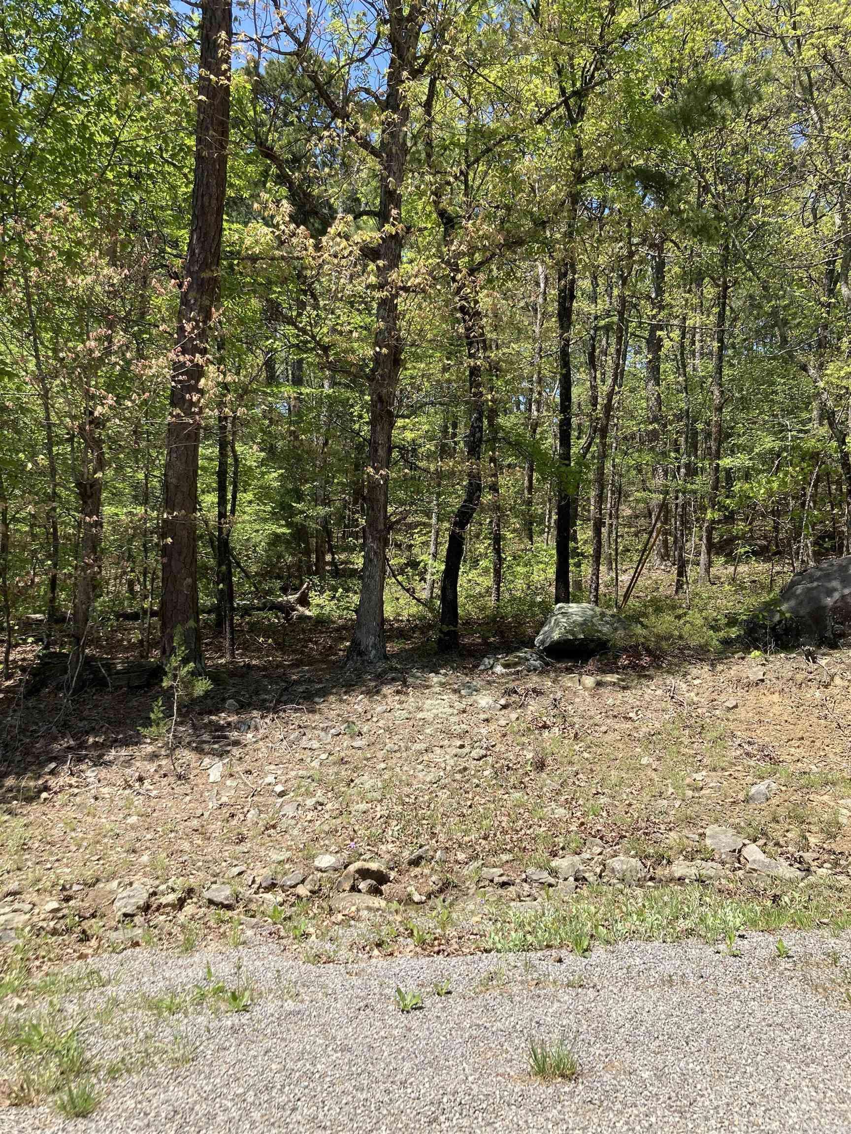 Fairfield Bay, AR 72088,Lot 264 block22 Persimmon Rd