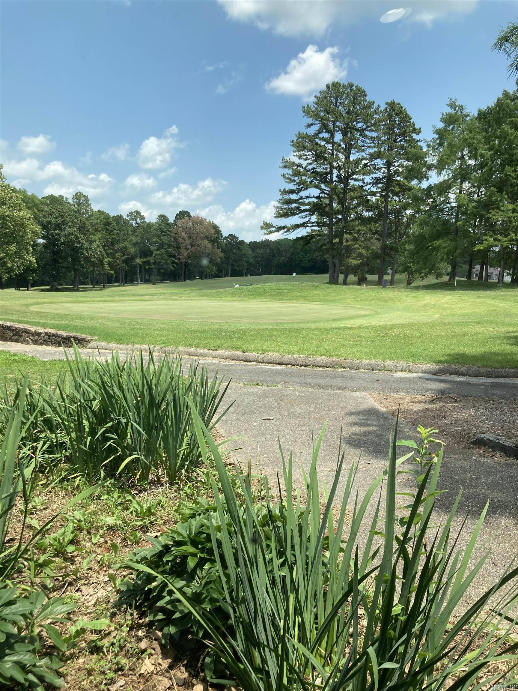 Fairfield Bay, AR 72088,Lot 264 block22 Persimmon Rd