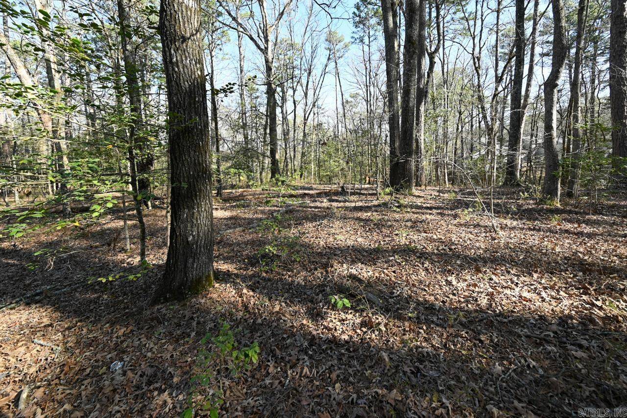 Mount Ida, AR 71957,TBD Silver Point Drive
