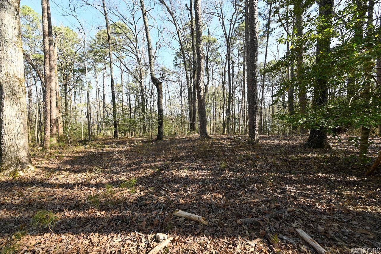 Mount Ida, AR 71957,TBD Silver Point Drive