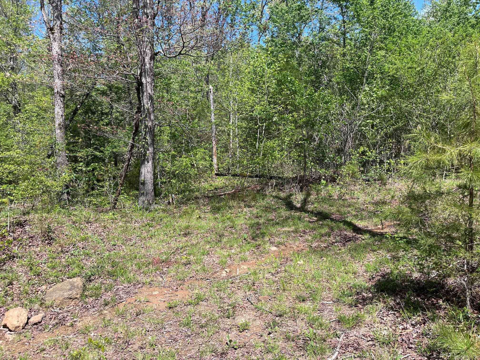 Clinton, AR 72031,9 Highway