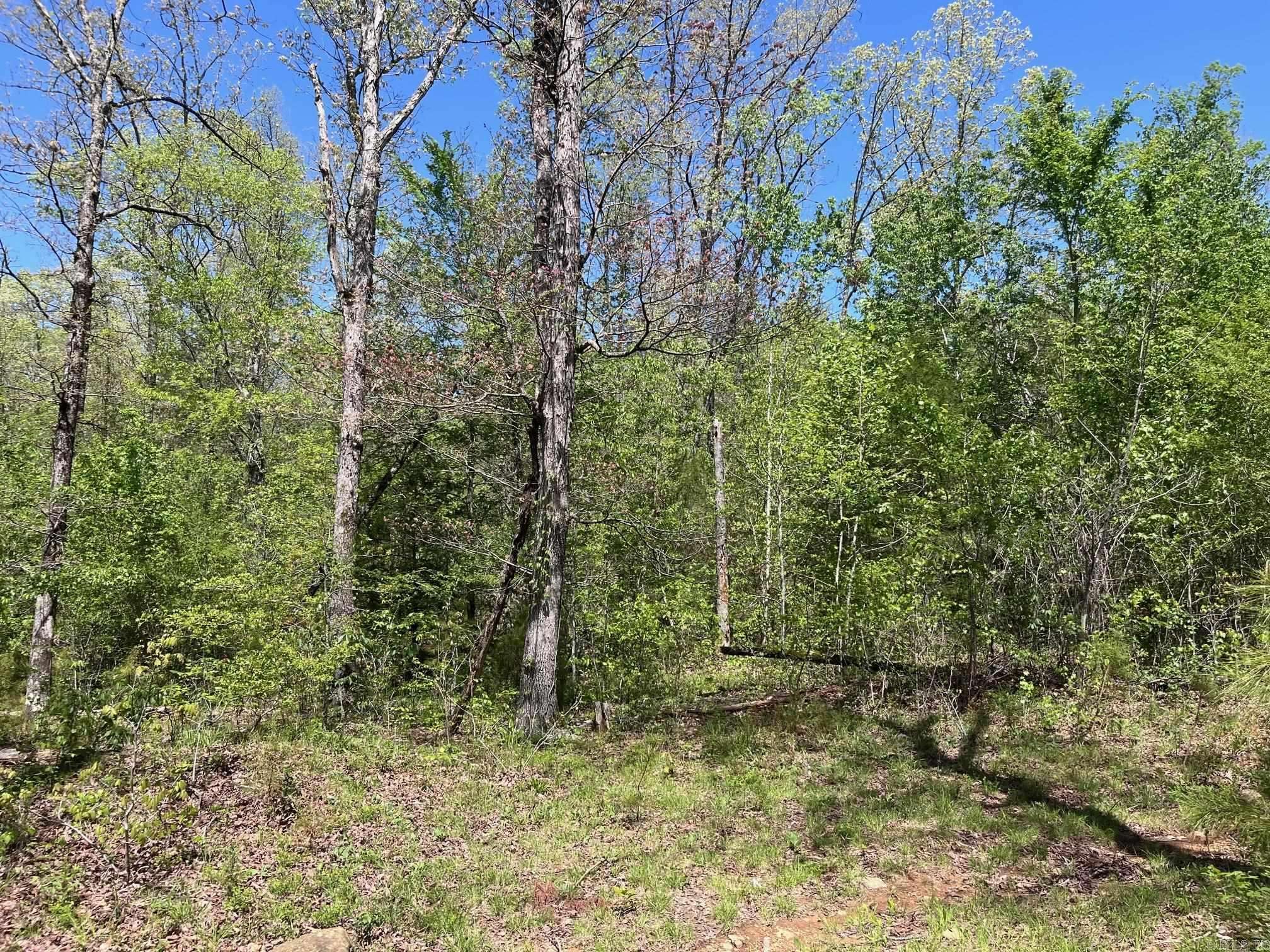 Clinton, AR 72031,9 Highway