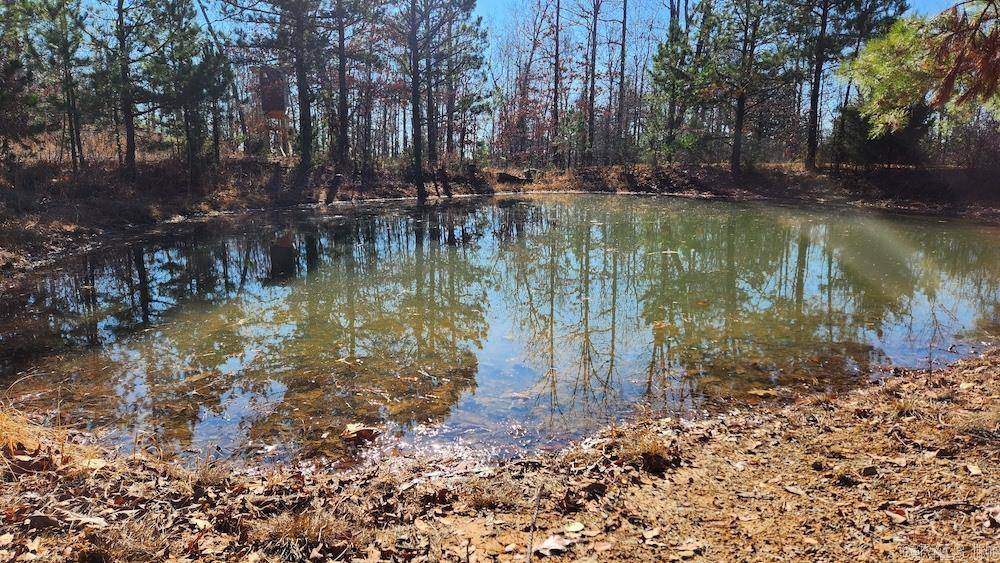 Mountain View, AR 72560,Address not disclosed