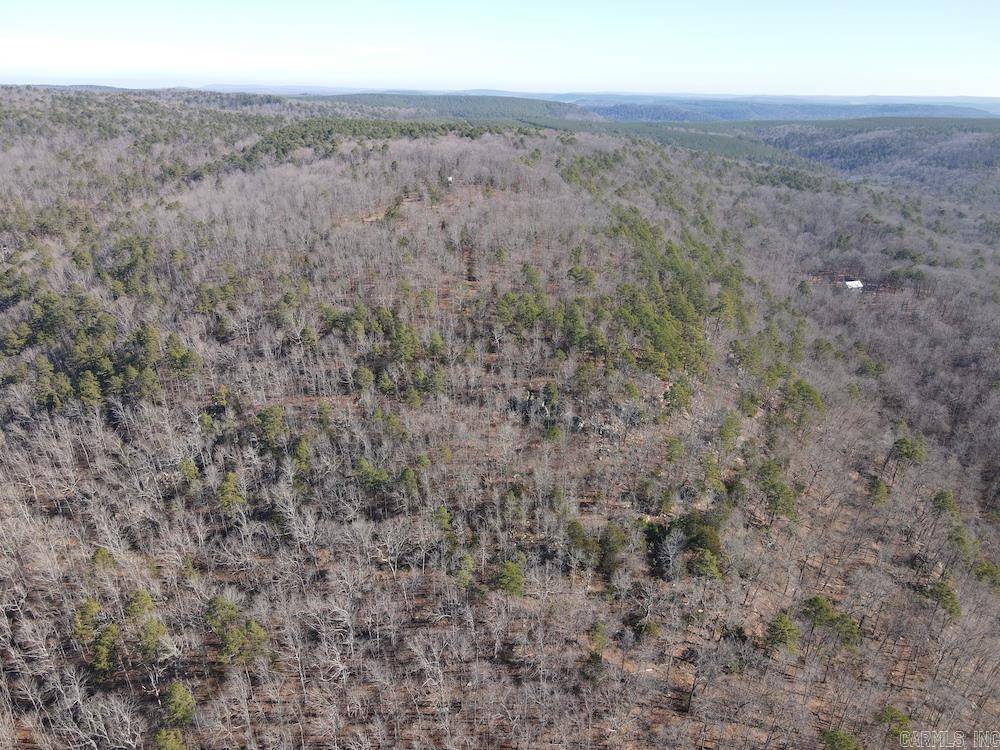 Mountain View, AR 72560,Address not disclosed