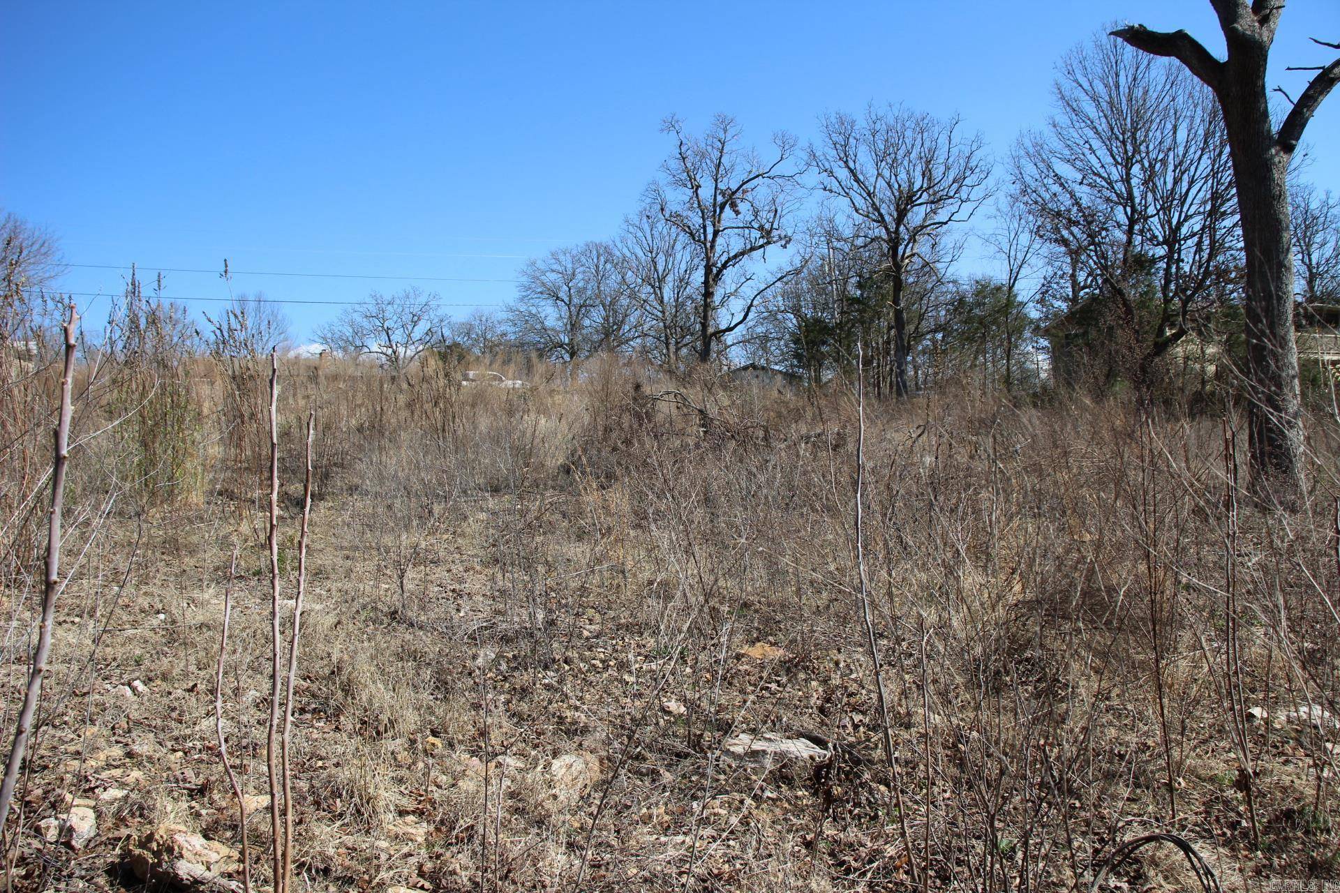 Mountain Home, AR 72653,lot 1 Kingsberry Drive