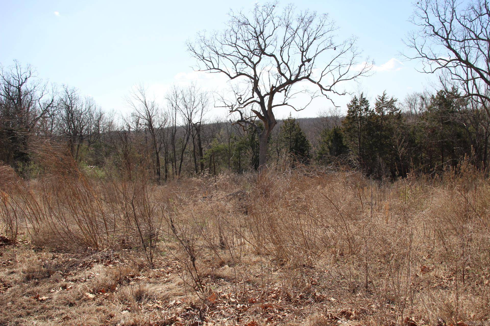 Mountain Home, AR 72653,lot 1 Kingsberry Drive