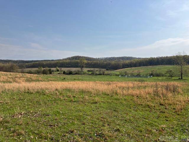 Doniphan, MO 63935,TBD Ripley Rt V