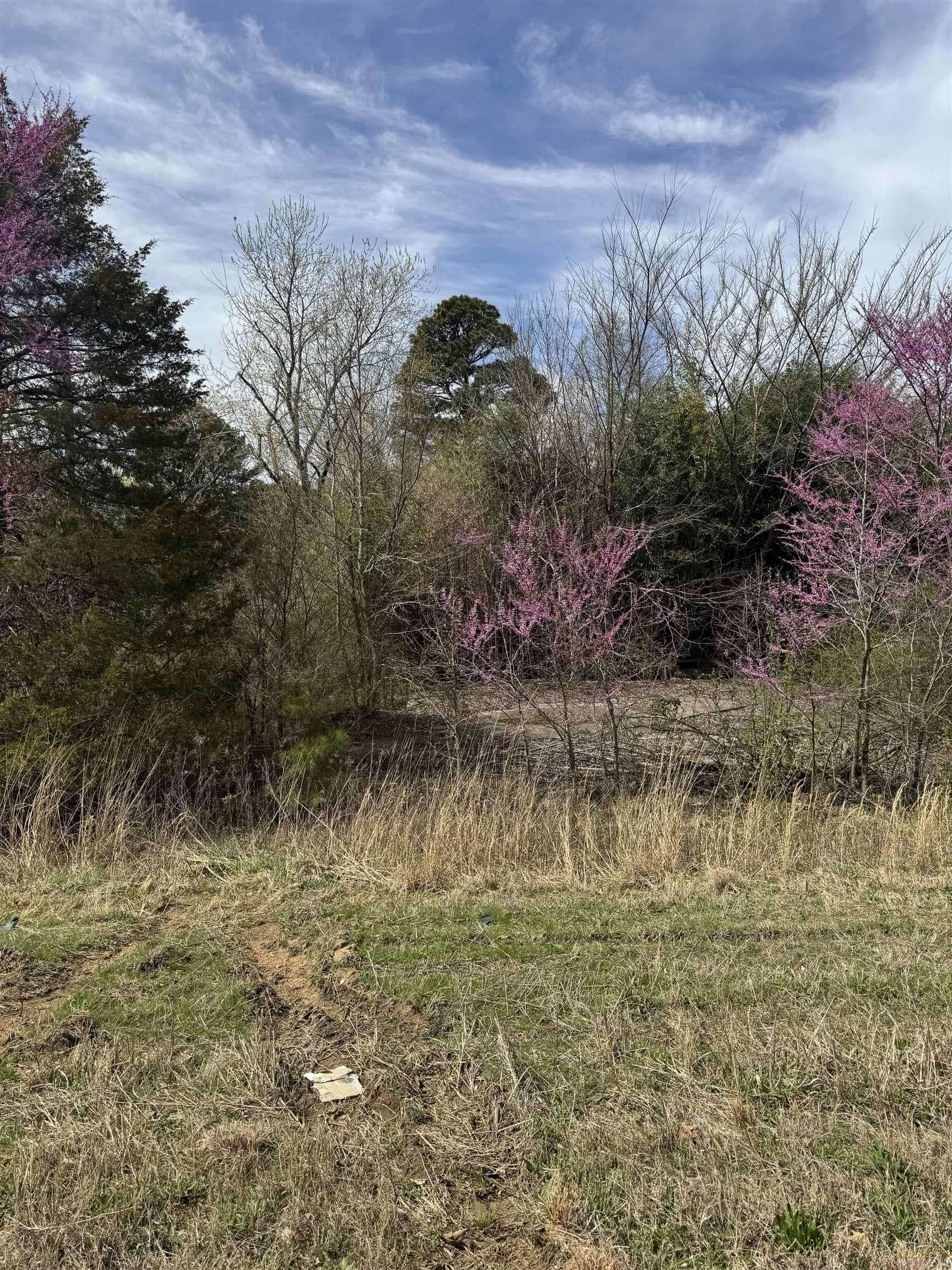 Bald Knob, AR 72010,100 US Highway 167