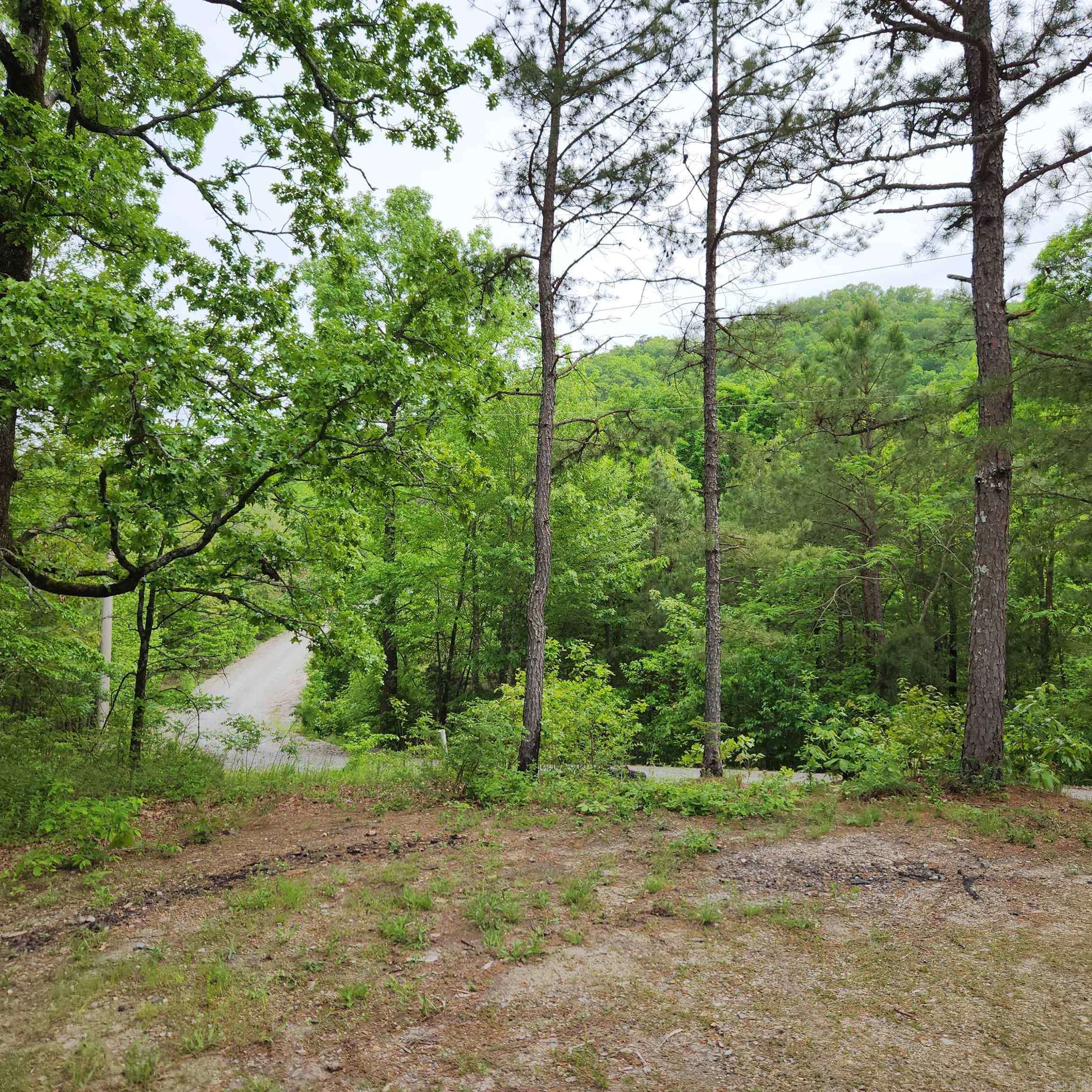 Hot Springs Village, AR 71909,255 Marla Marie Trail