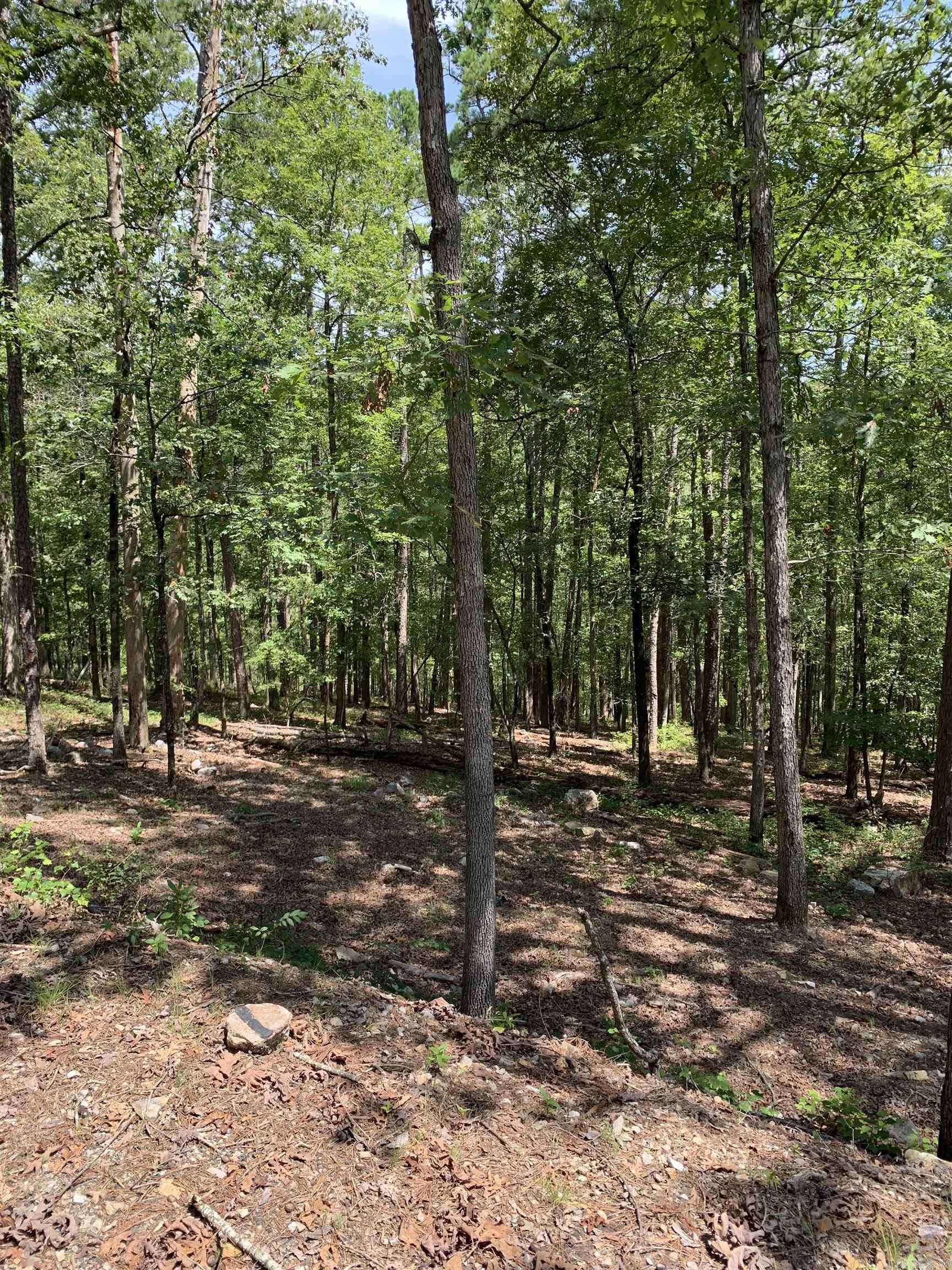Hot Springs Village, AR 71909,42 Gerante Way