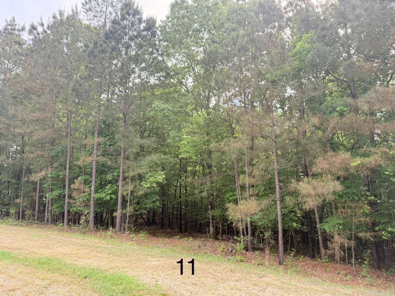 Monticello, AR 71655,10 Point Lane (Lot 11)