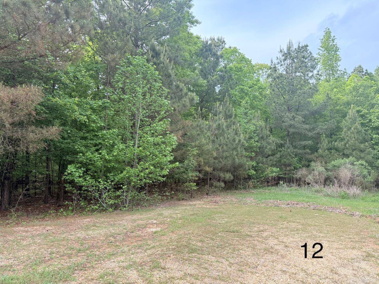 Monticello, AR 71655,10 Point Ln (Lot 12)