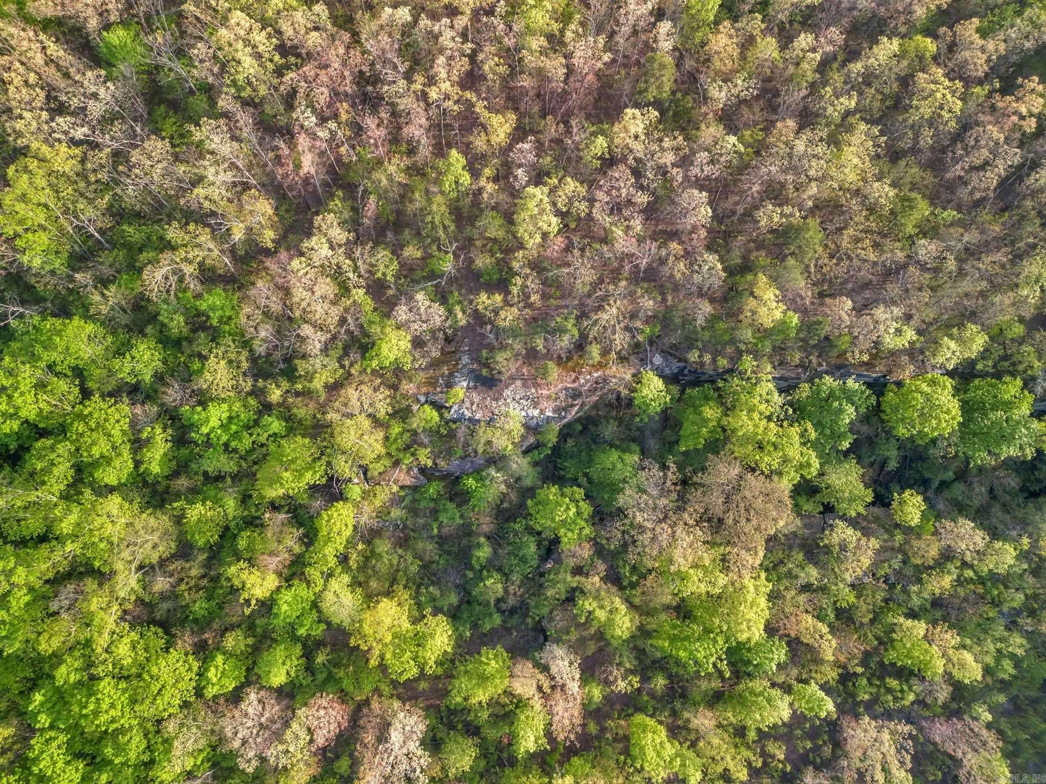 Clinton, AR 72031,00 Sylvan Lane