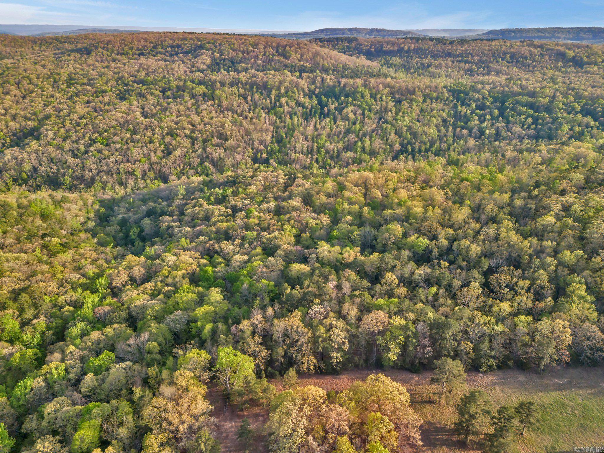 Clinton, AR 72031,00 Sylvan Lane