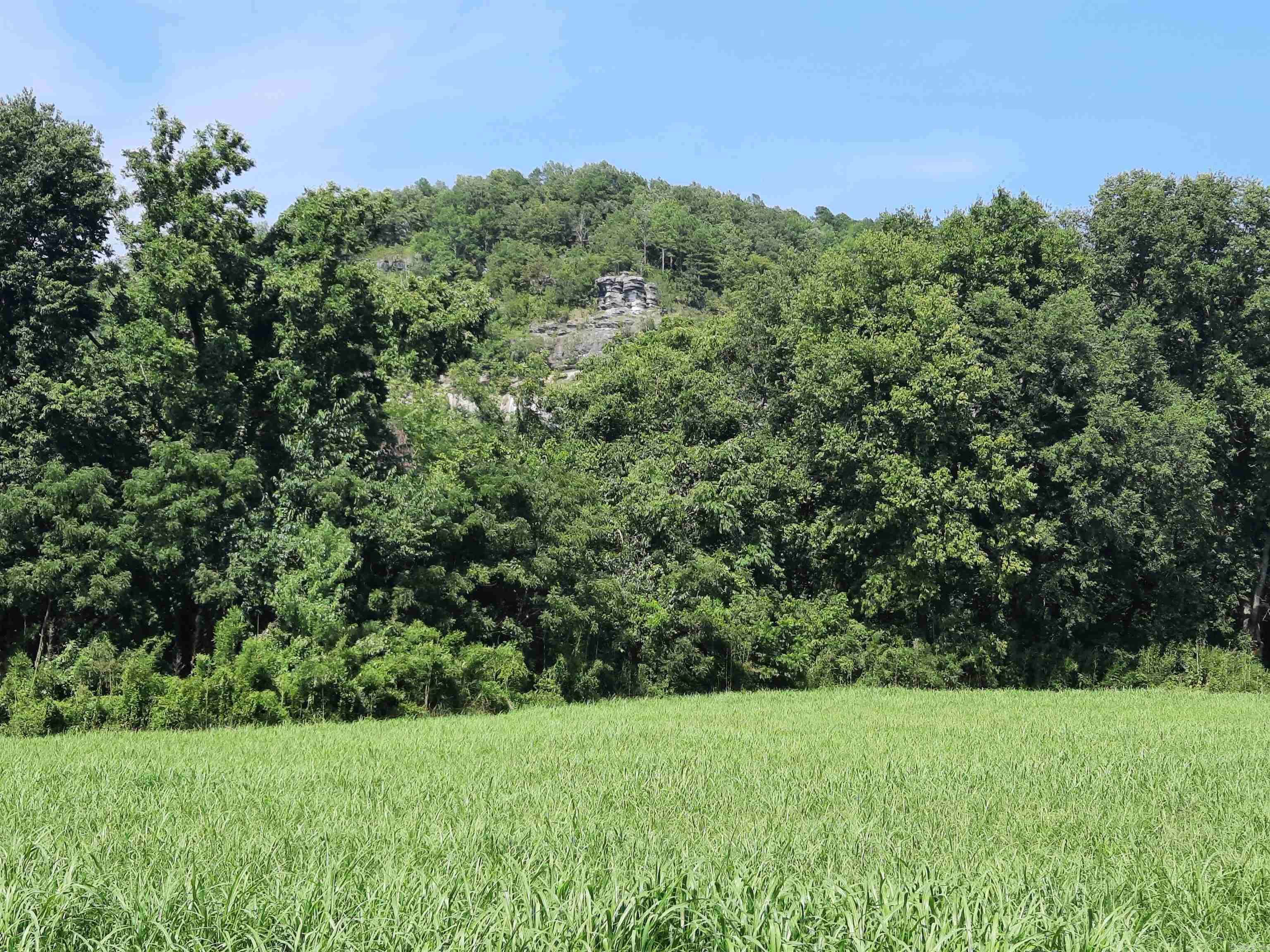 Mountain View, AR 72560,002 Jellon