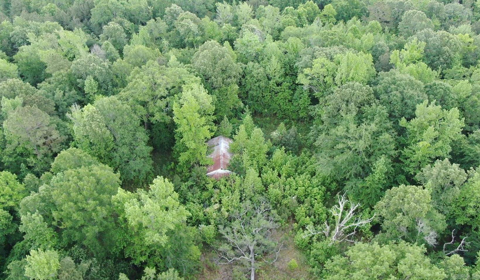 New Edinburg, AR 71660,4080 Cranes Lake Rd