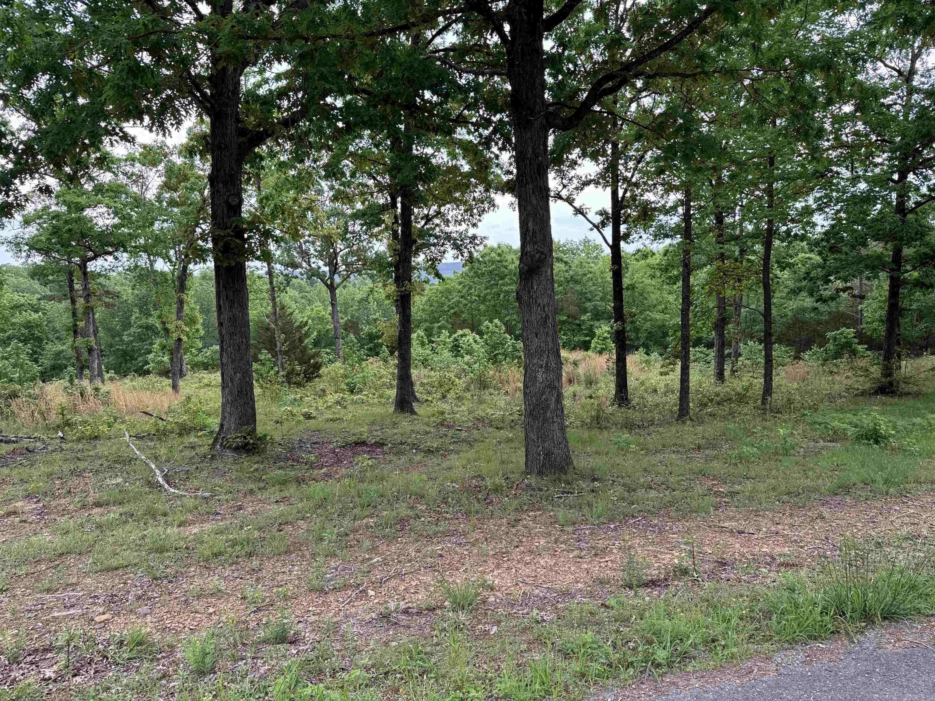 Edgemont, AR 72044,TRACT 1 Watersedge Drive