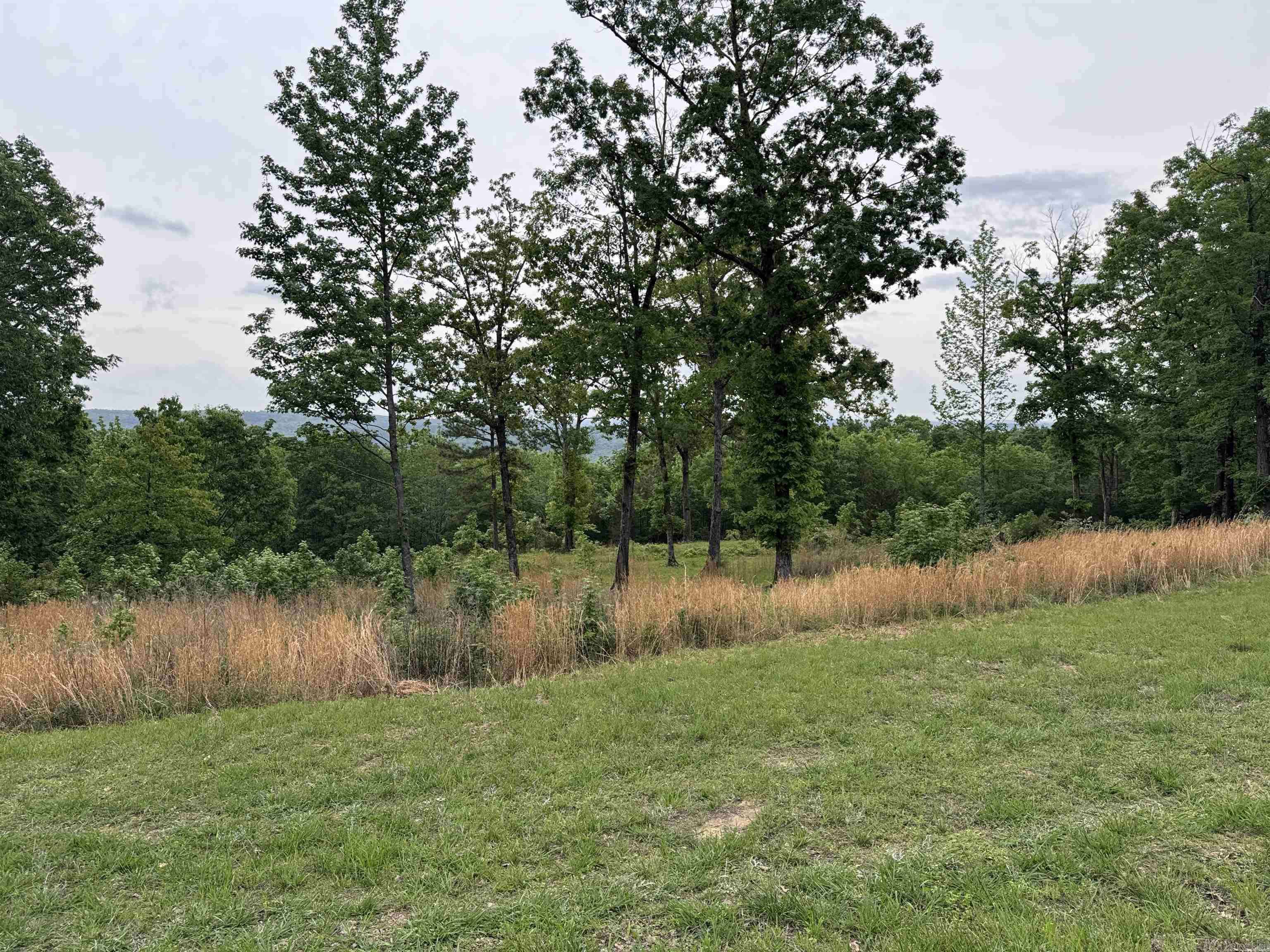 Edgemont, AR 72044,TRACT 2 Waters Edge Drive