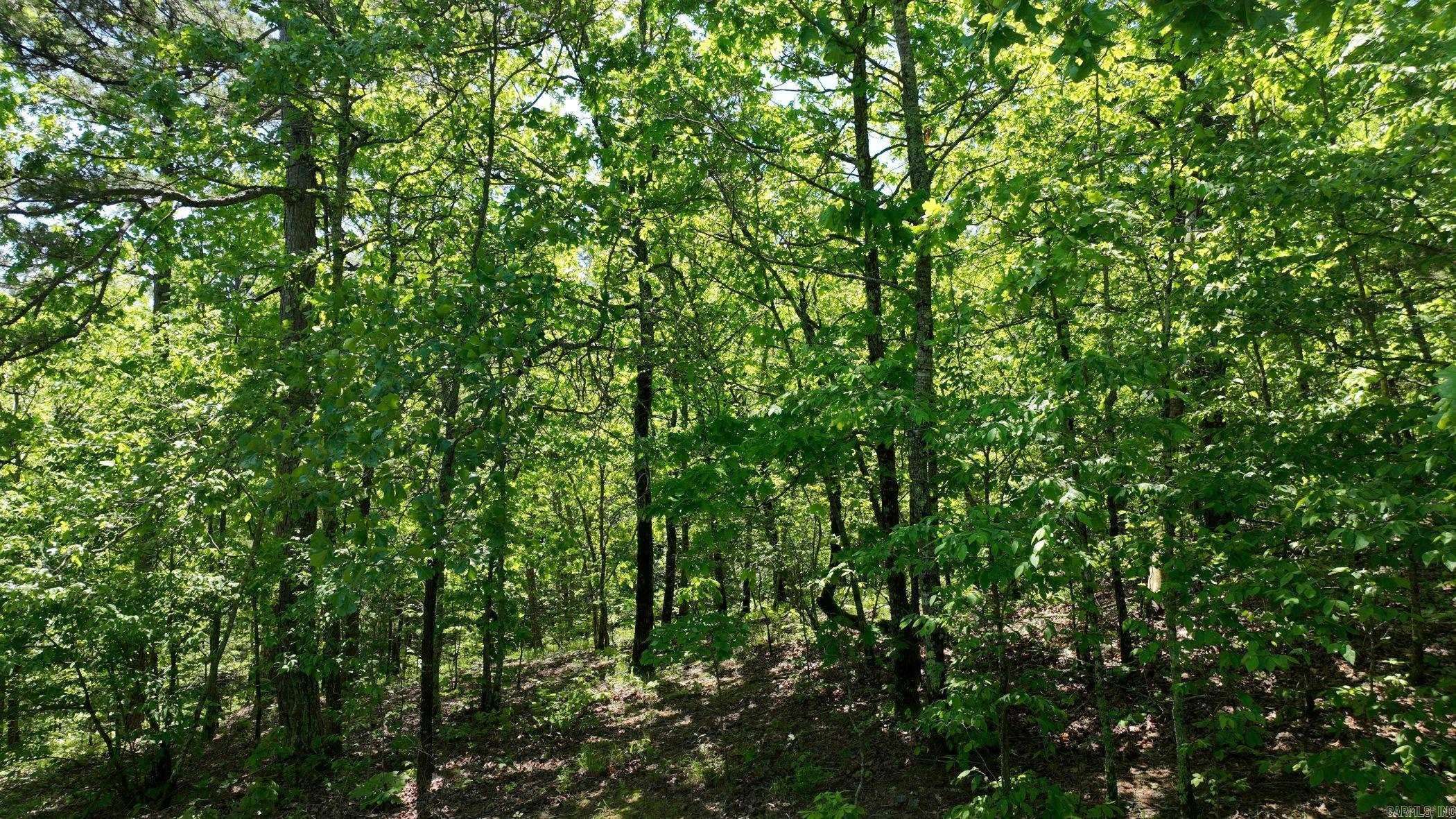 Mena, AR 71953,TBD (Lot10) Heather Lane