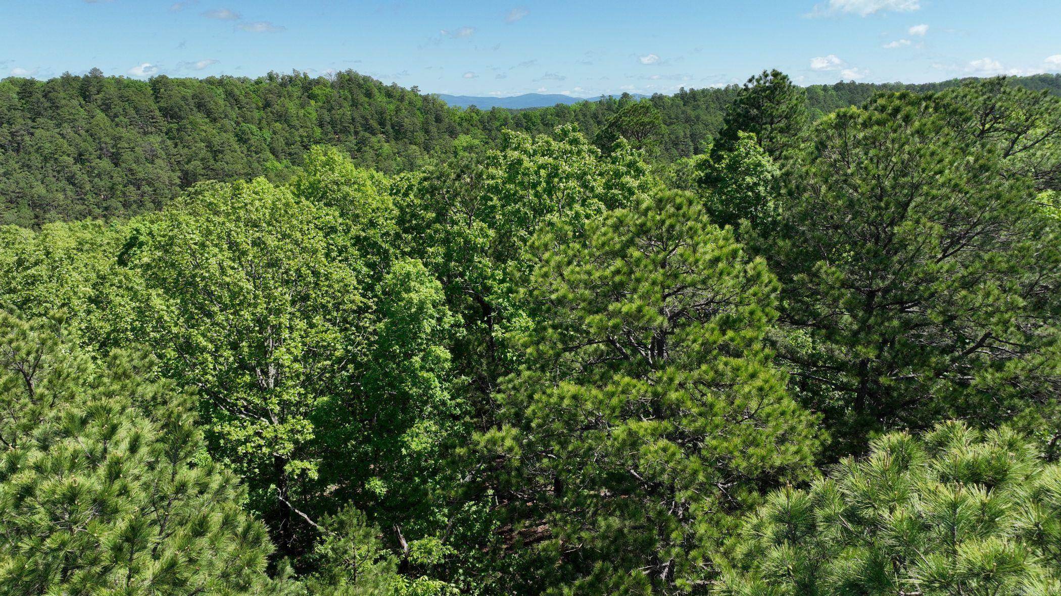 Mena, AR 71953,TBD (Lot 12) Heather Lane