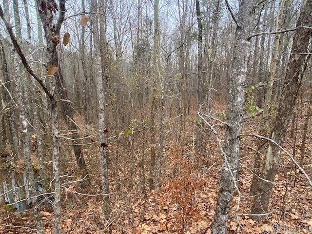 Clinton, AR 72031,Lot 77 Mustang Drive