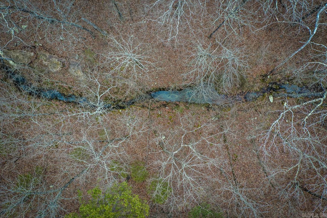 Edgemont, AR 72044,000 Florence Road