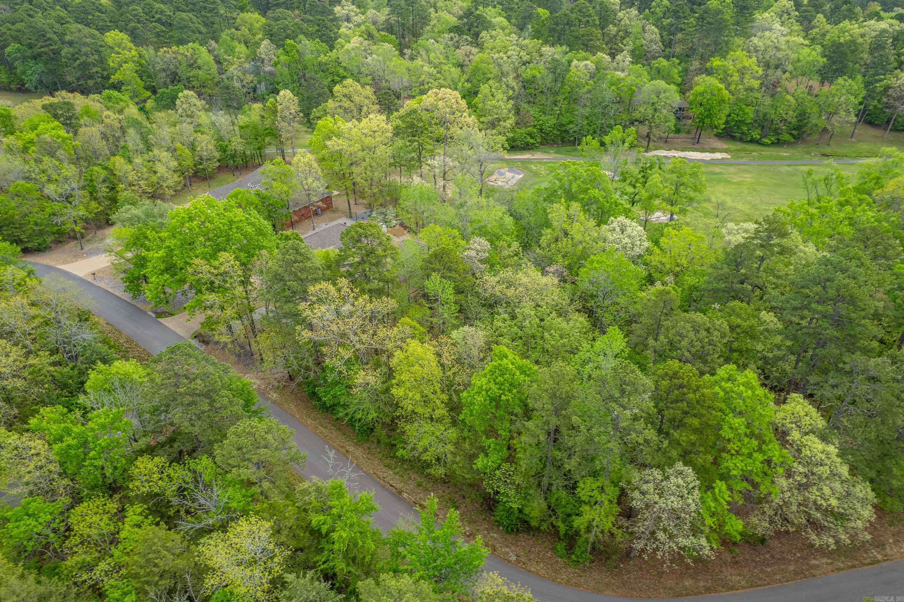 Hot Springs Village, AR 71909,Pinocha