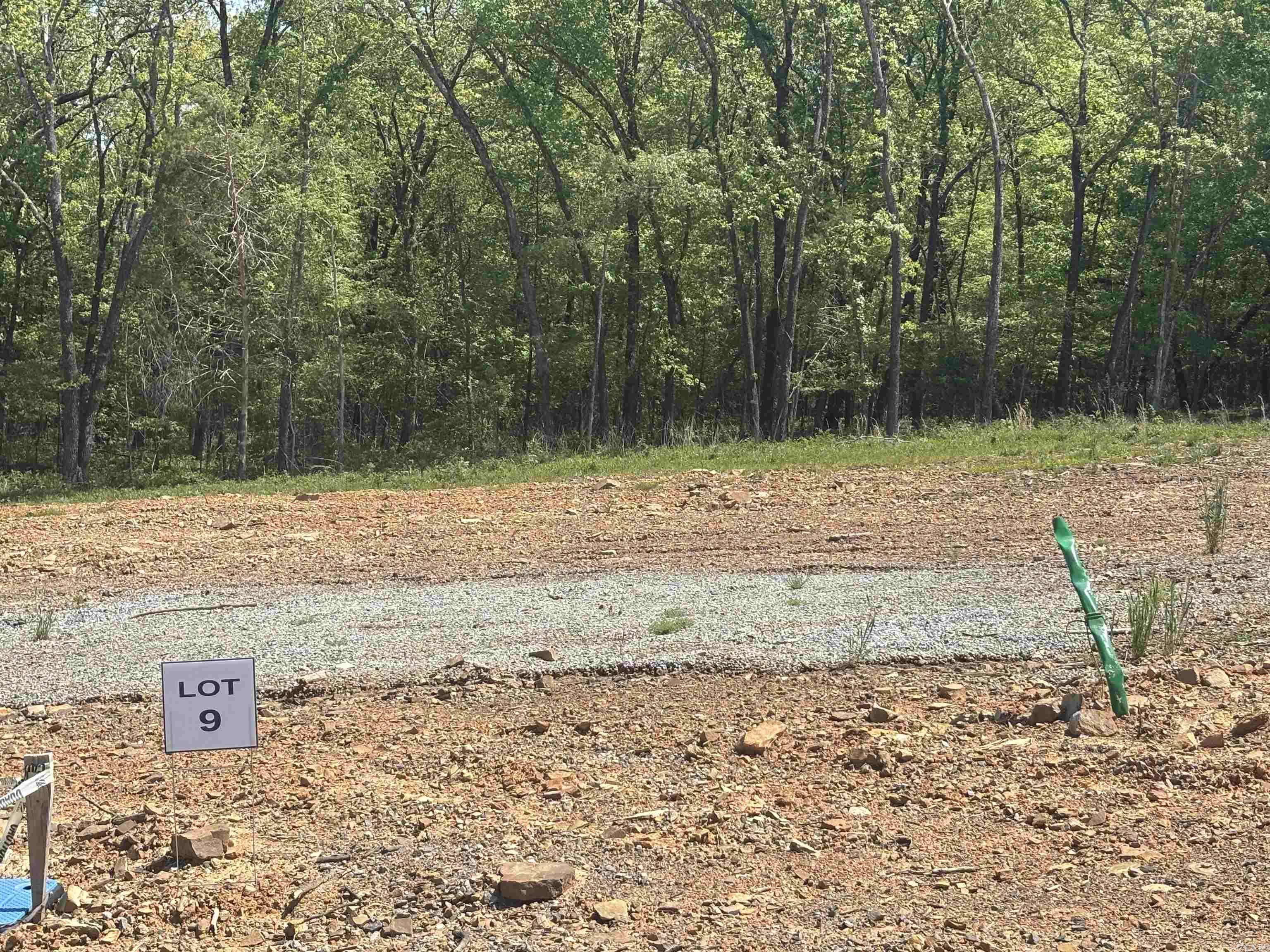 Austin, AR 72007-0000,Lot 9 Madeleine Circle