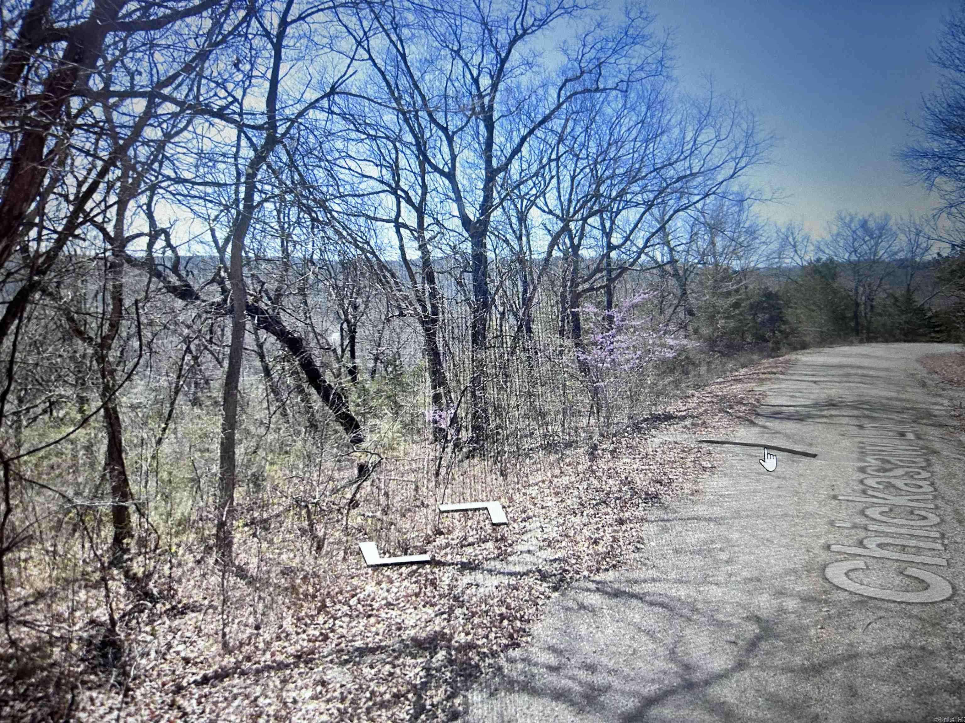 Holiday Island, AR 72631,Lot 31 Chickasaw Lane