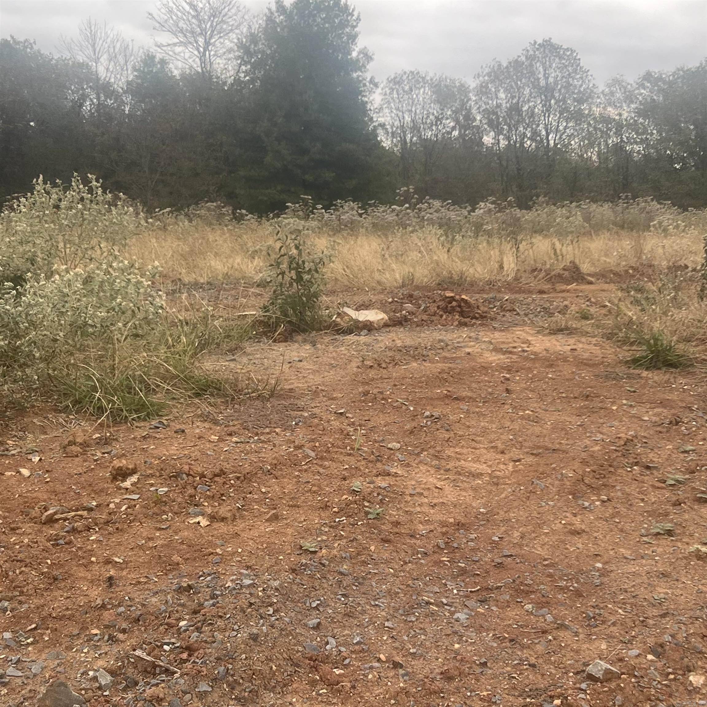 Maumelle, AR 72113,523 Corondelet Lane