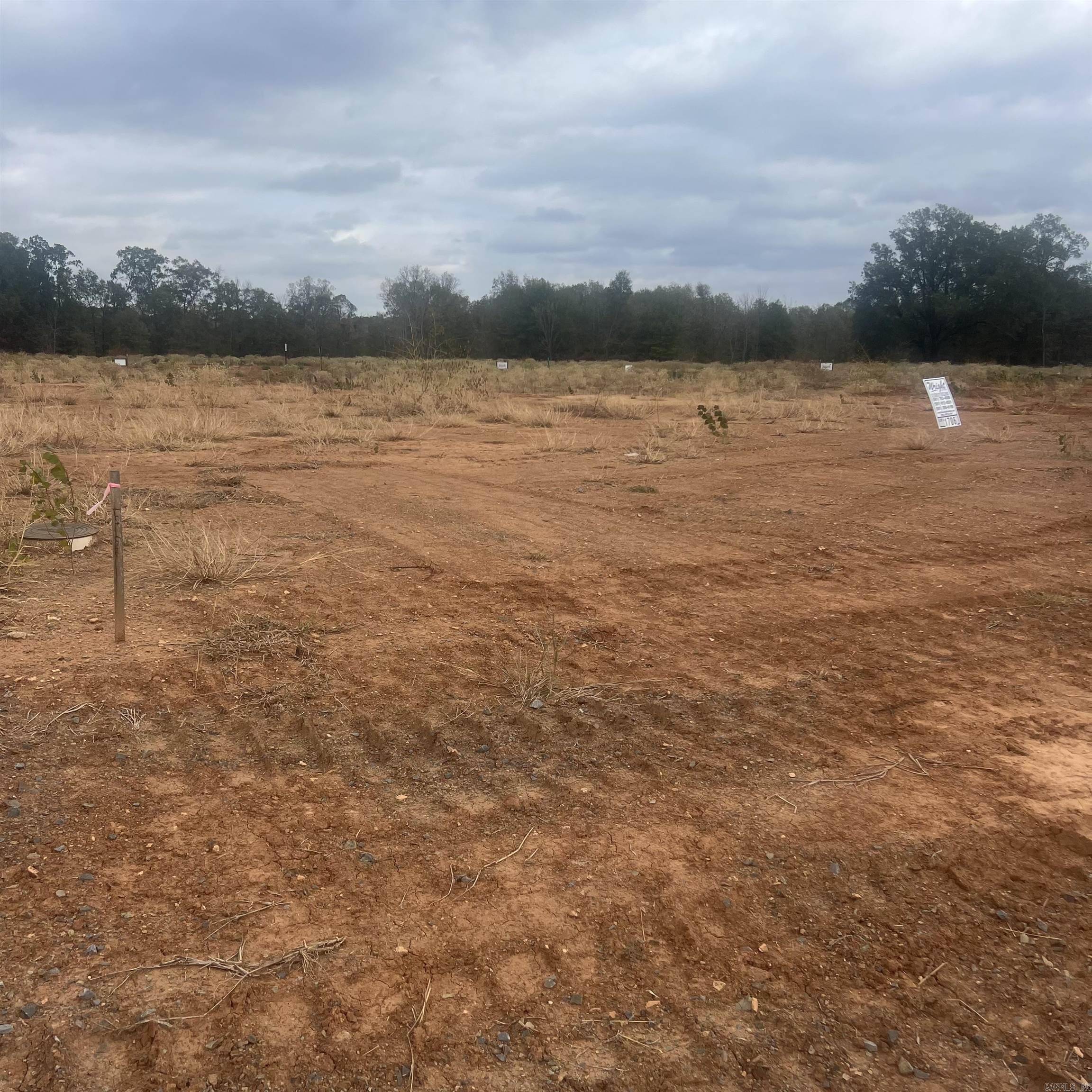 Maumelle, AR 72113,513 Corondelet Lane