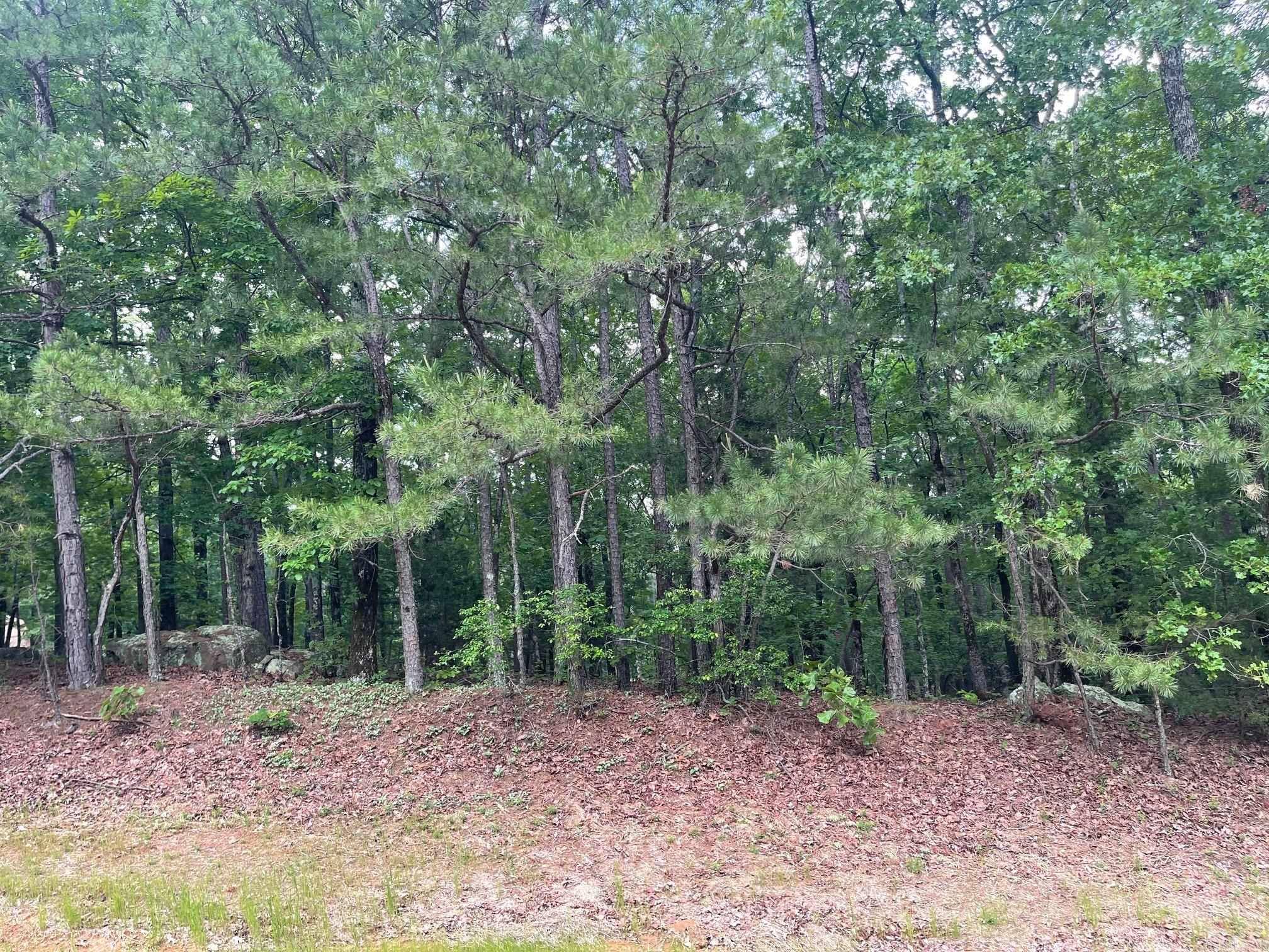 Fairfield Bay, AR 72088,Lot 5,6,7,Blk19 Woodlawn Dr Drive