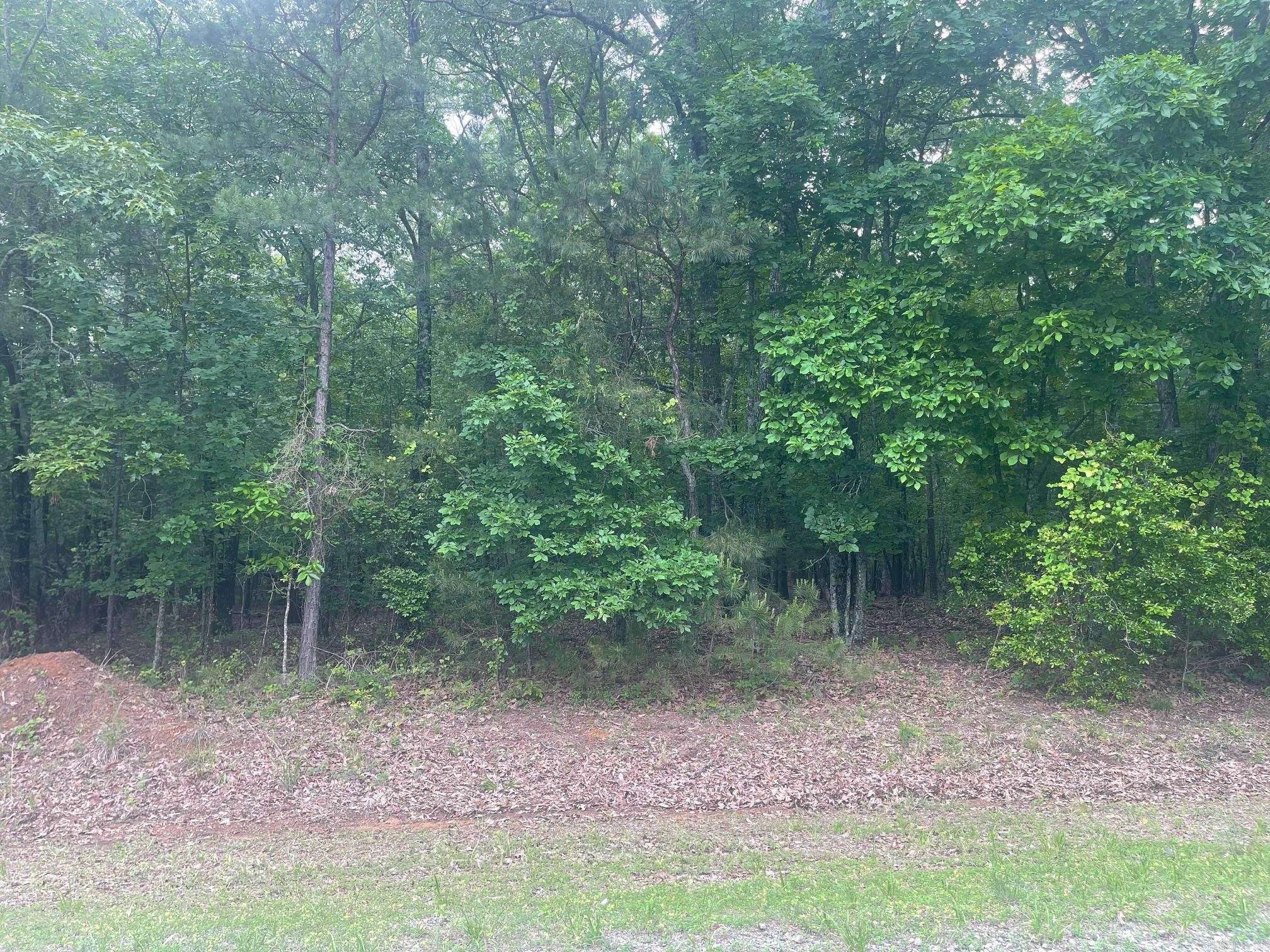 Fairfield Bay, AR 72088,Blk12Lot124-128 Grand Isle Drive
