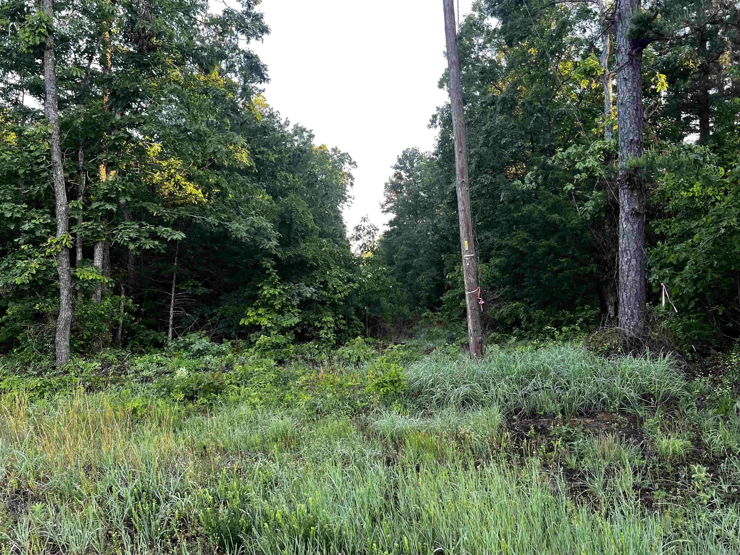 Heber Springs, AR 72543,00 Good Springs Rd