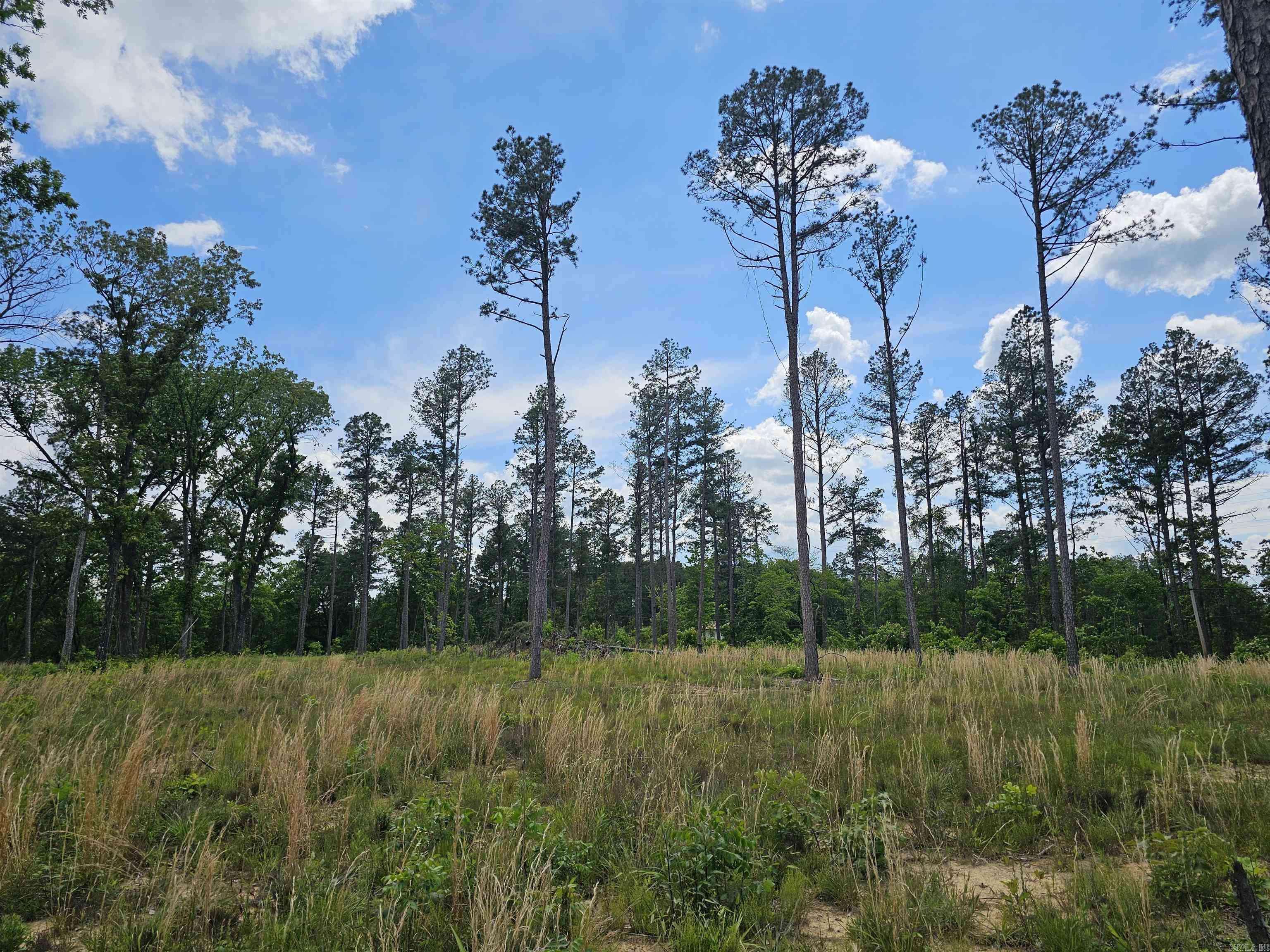 Clinton, AR 72031,0 Newton Rd