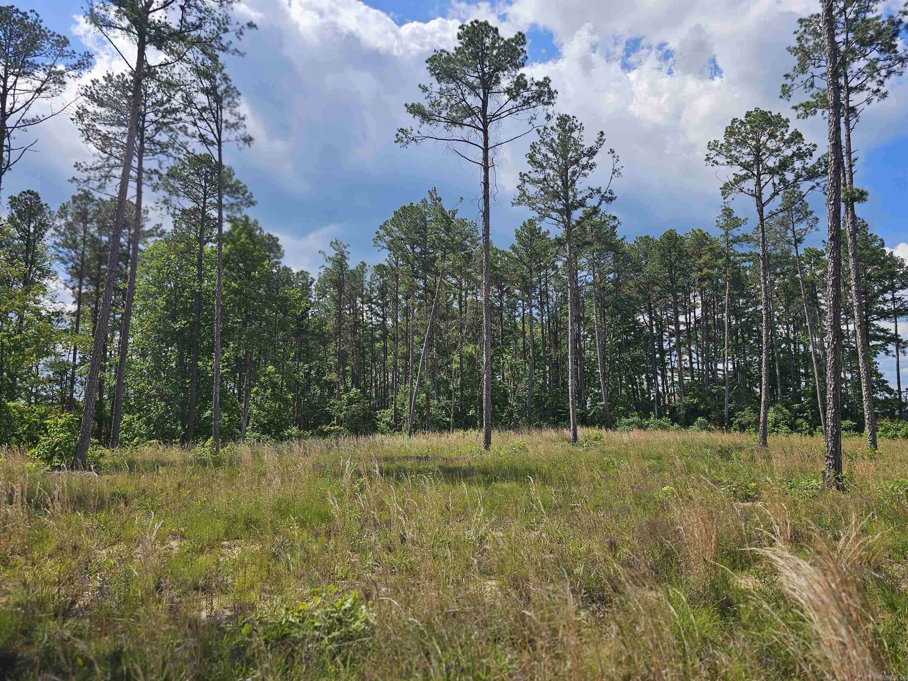 Clinton, AR 72031,0 Newton Rd