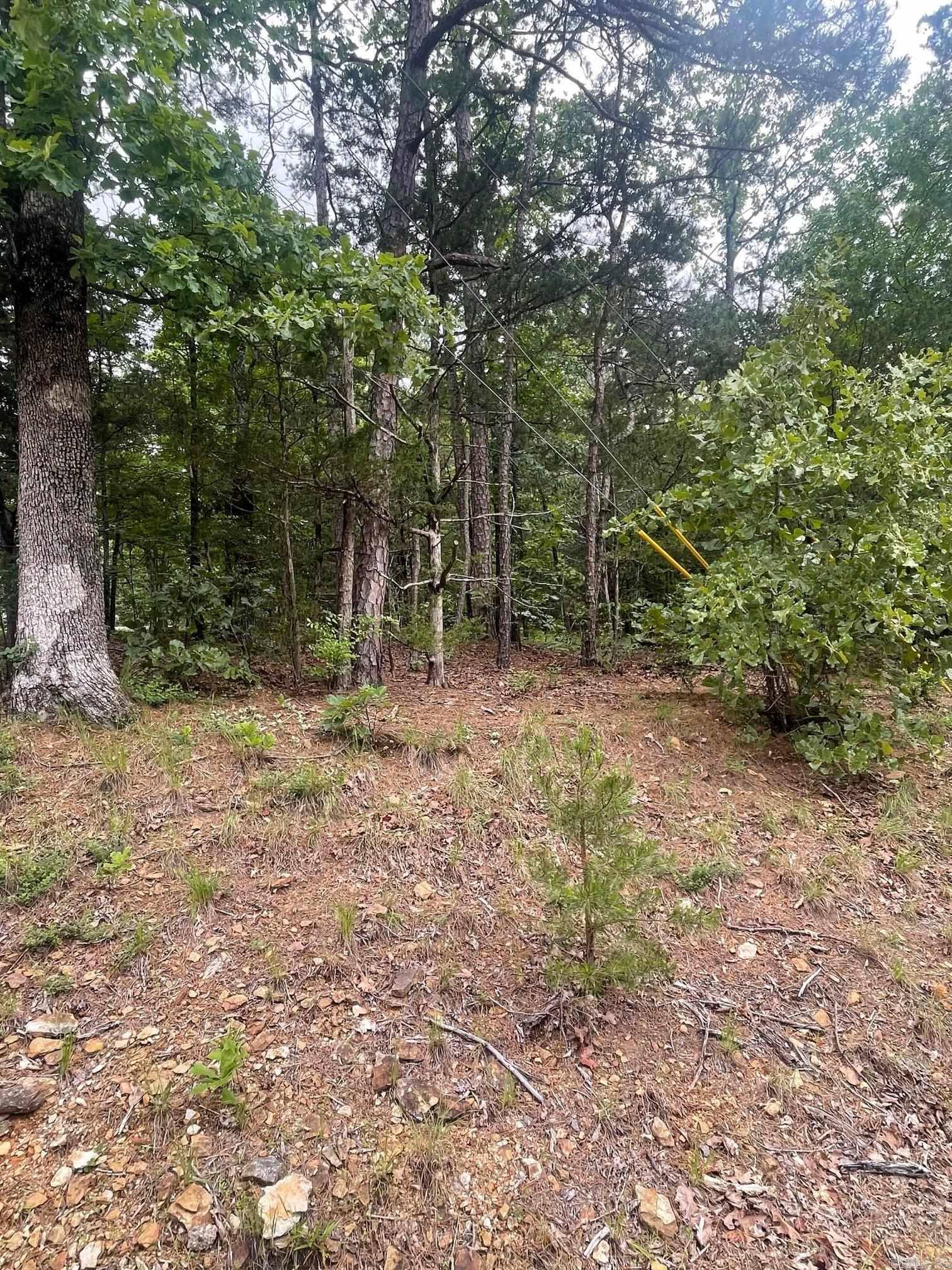 Fairfield Bay, AR 72088,Lot 185 Oak Park Lane