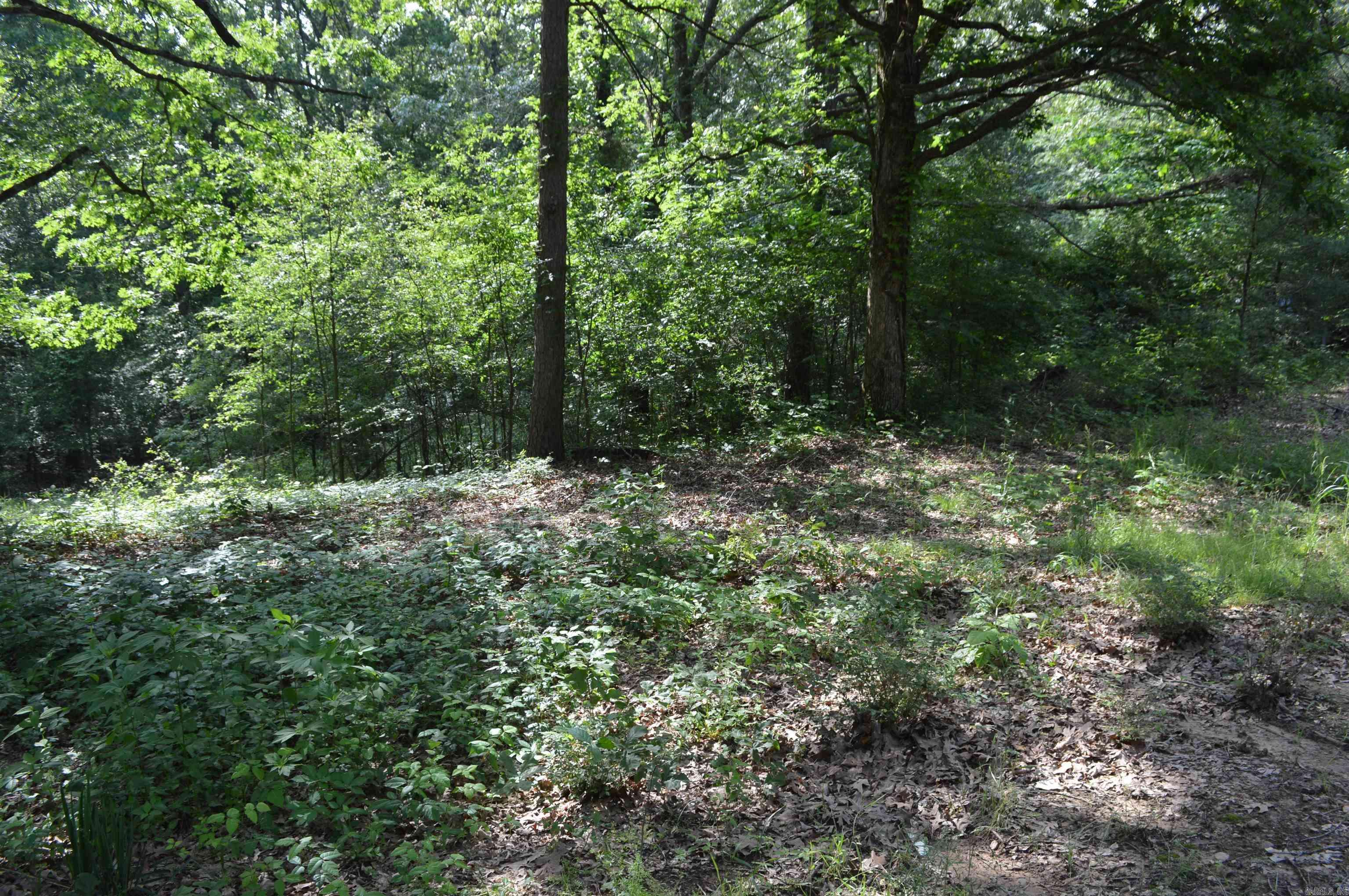 Harrisburg, AR 72432,5990 Martin Lane