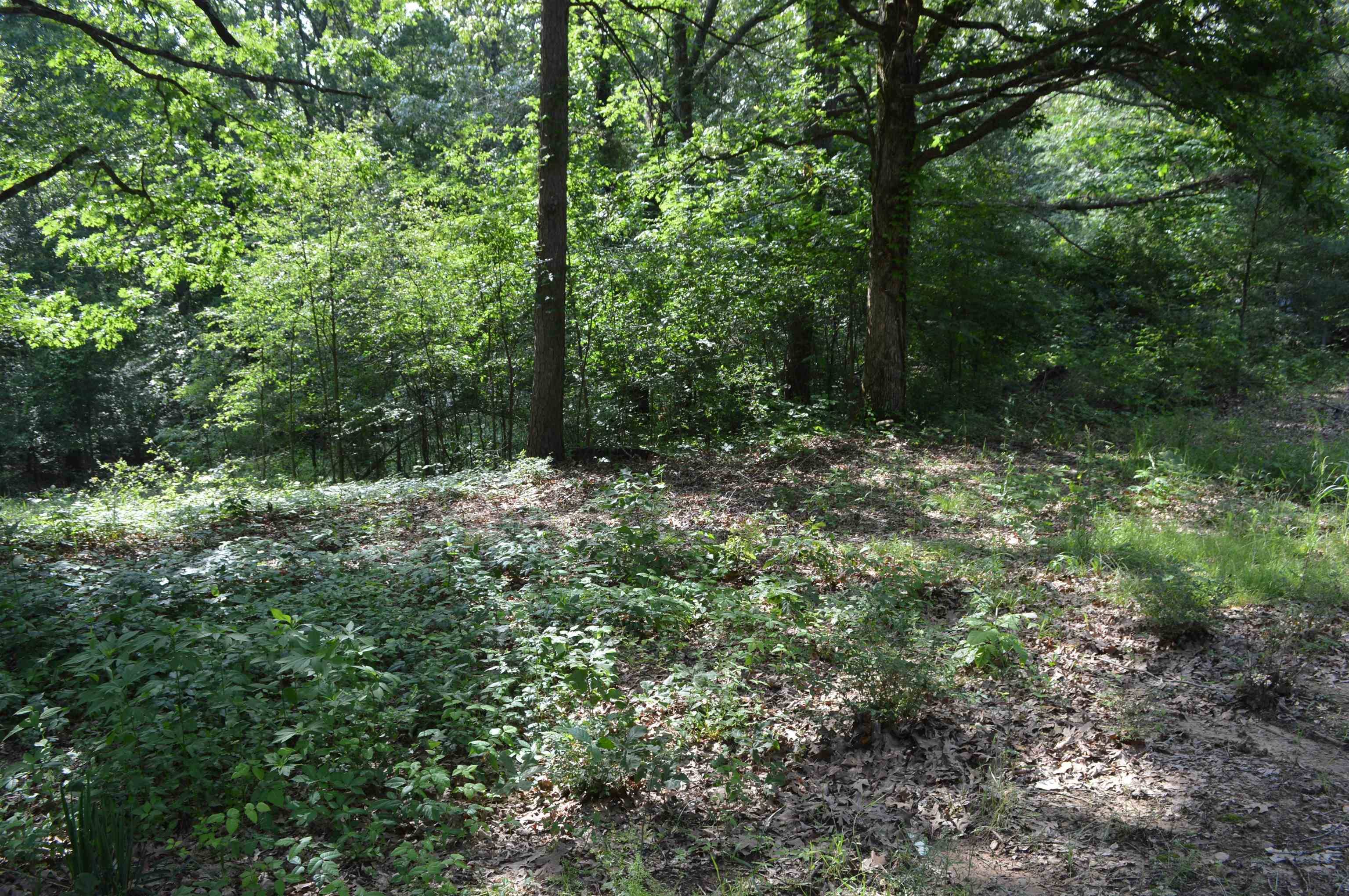 Harrisburg, AR 72432,Address not disclosed