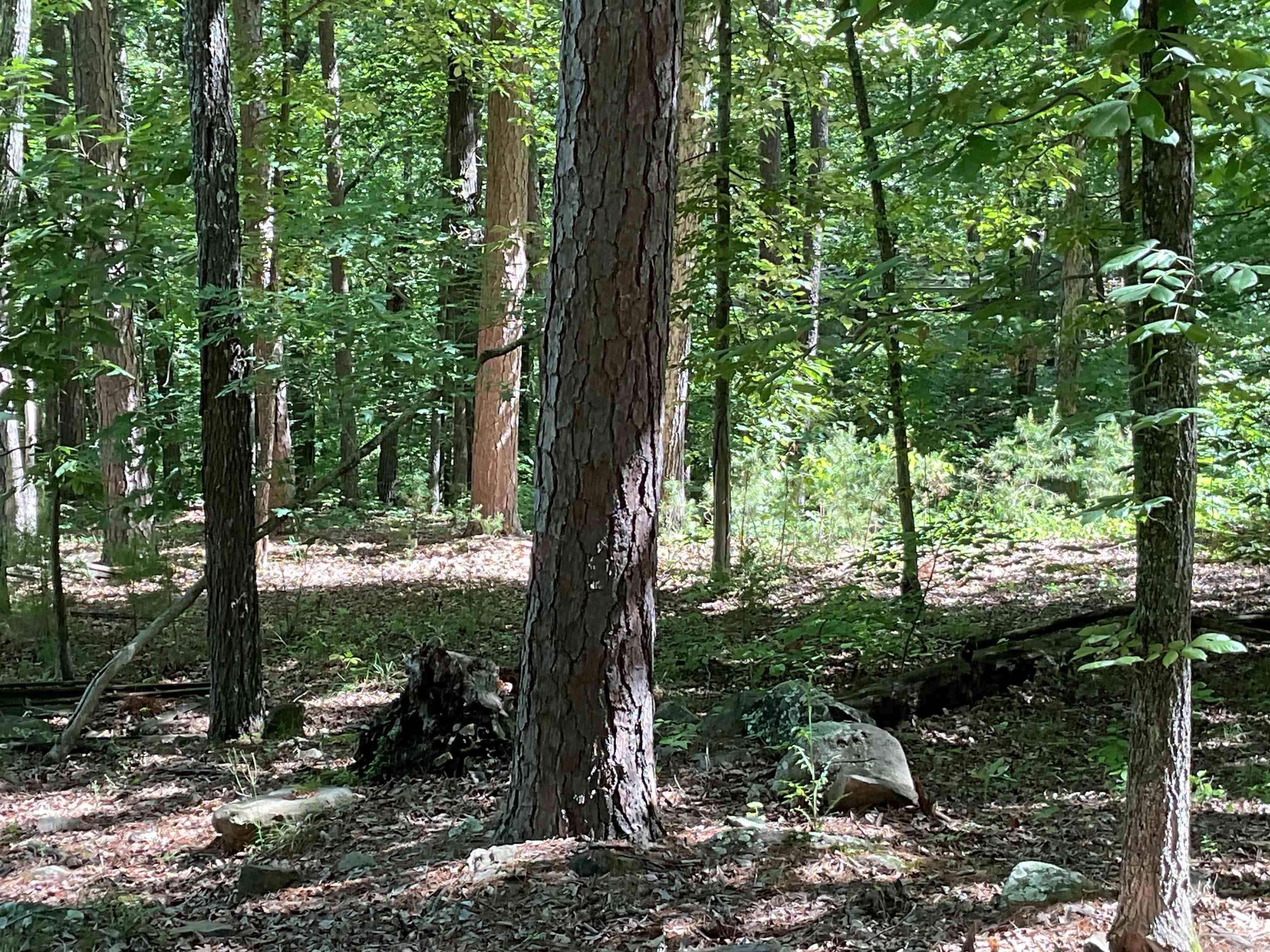 Greers Ferry, AR 72067,000 Roxie
